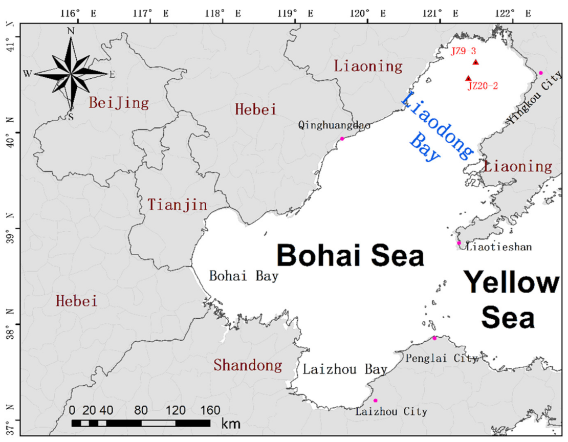 Remotesensing 13 00936 g001 Remotesensing 13 00936 g001