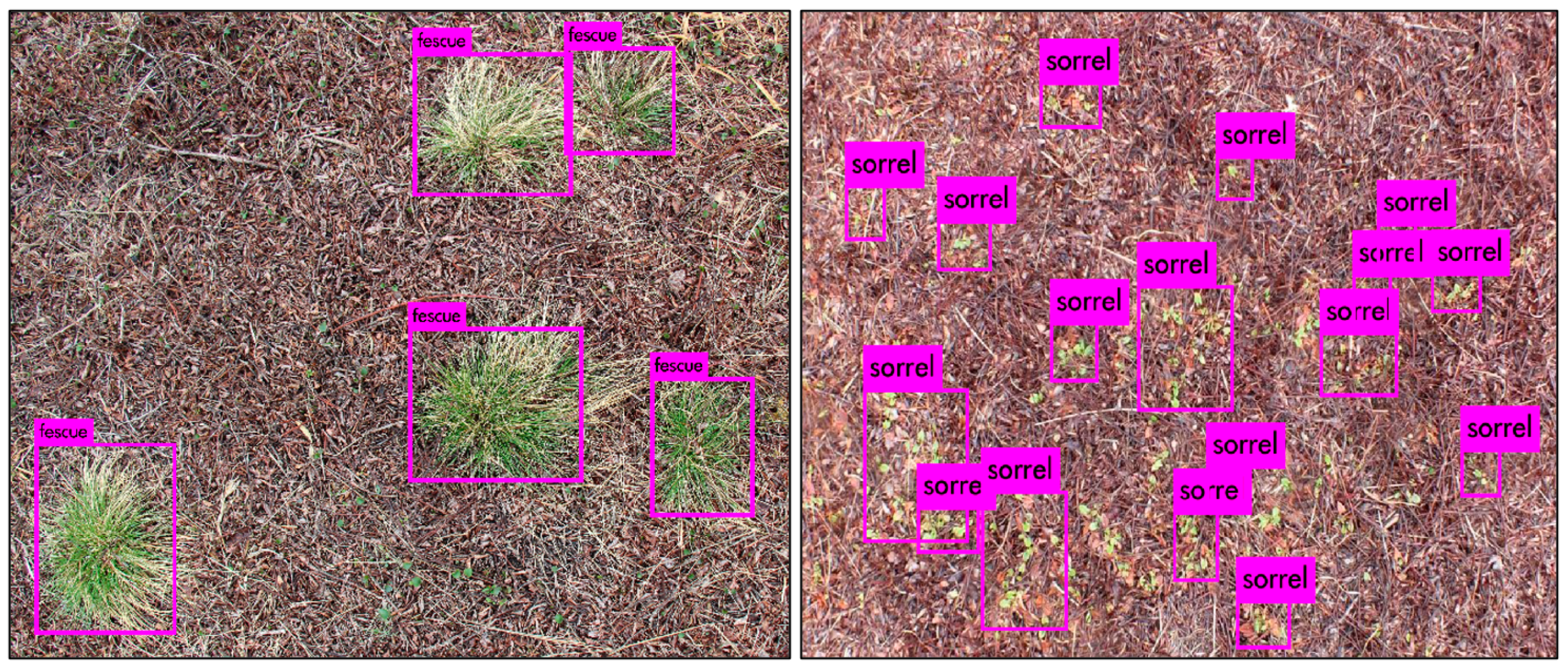 Remotesensing 13 00943 g003