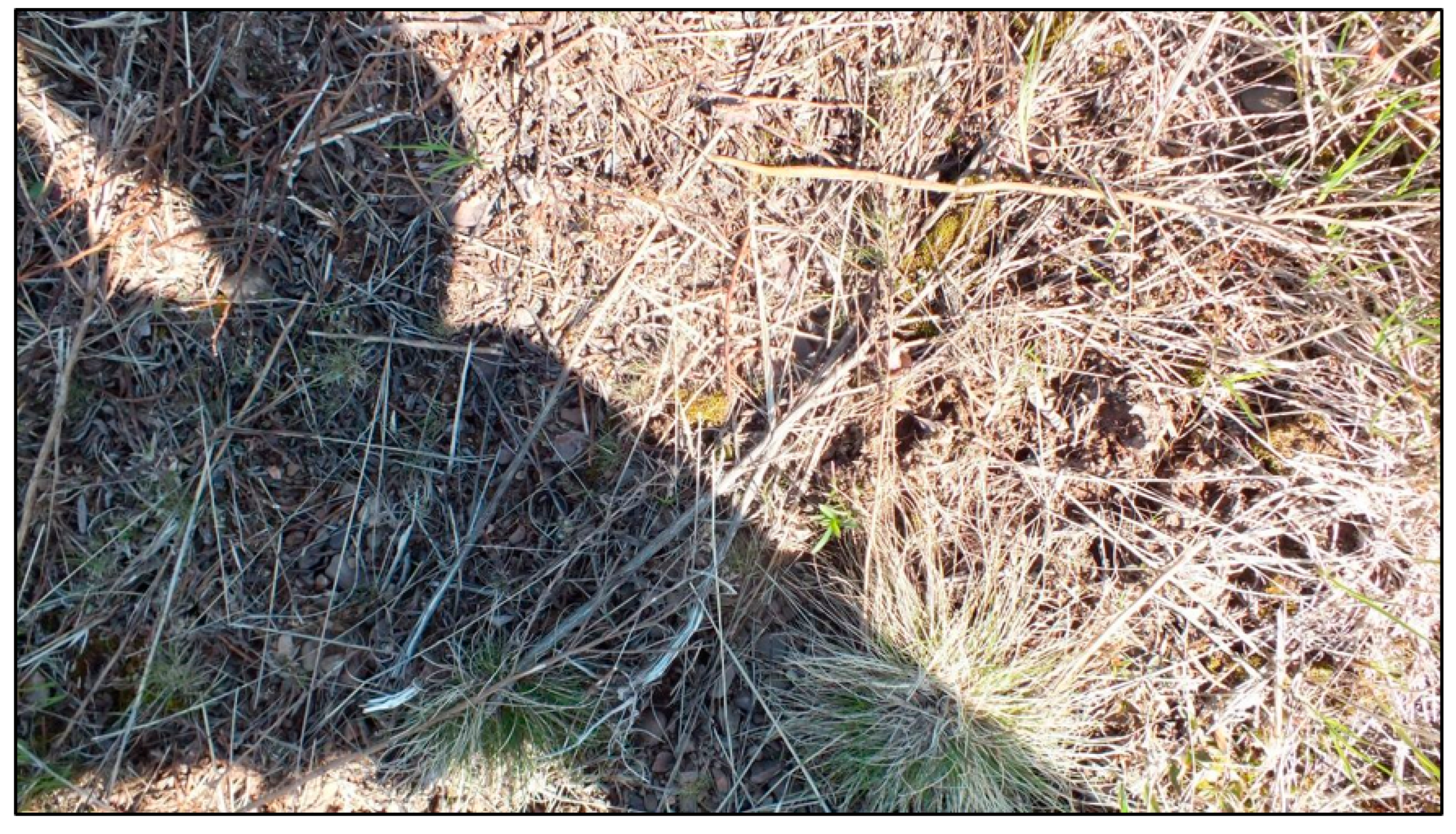 Remotesensing 13 00943 g005
