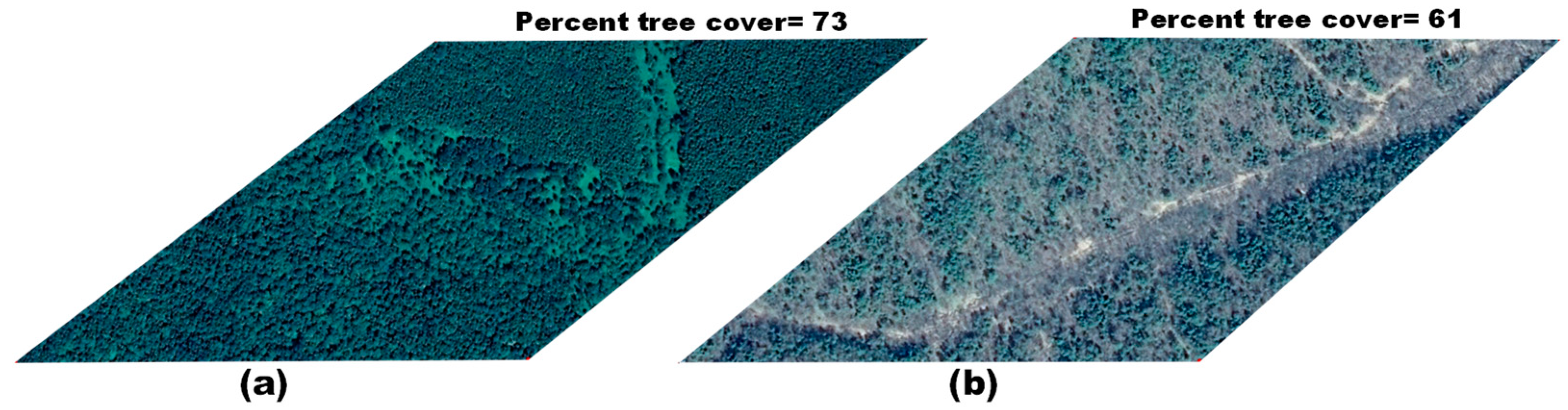 Remotesensing 13 00948 g013