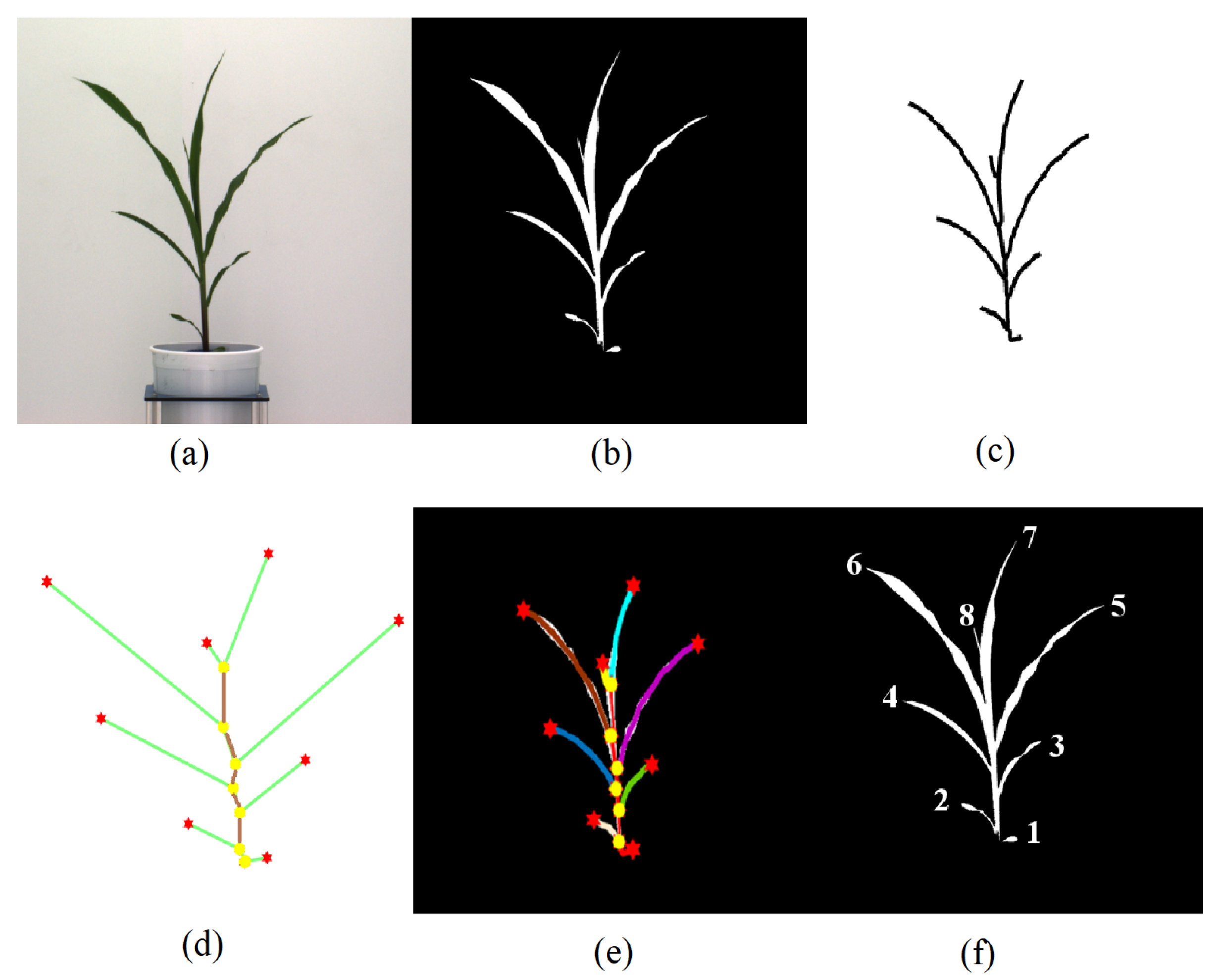 Remotesensing 13 00961 g001