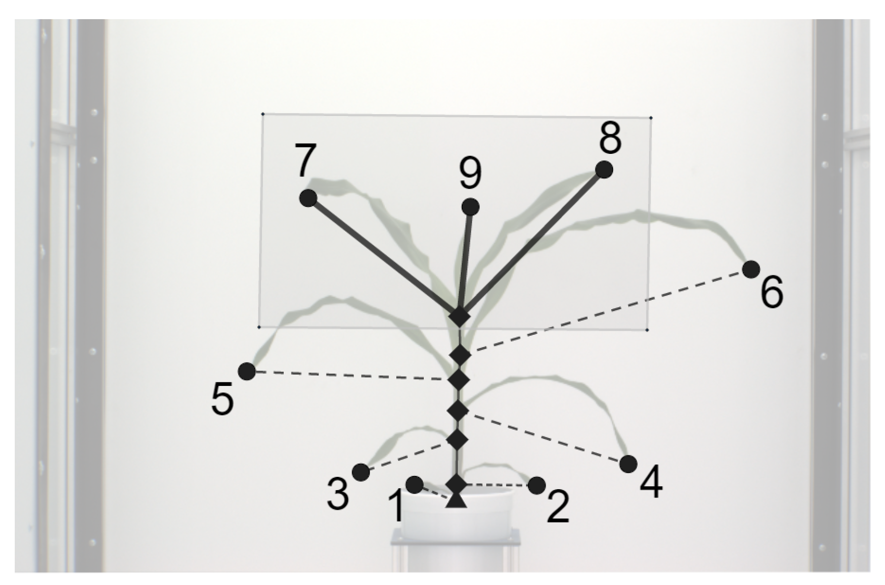 Remotesensing 13 00961 g003