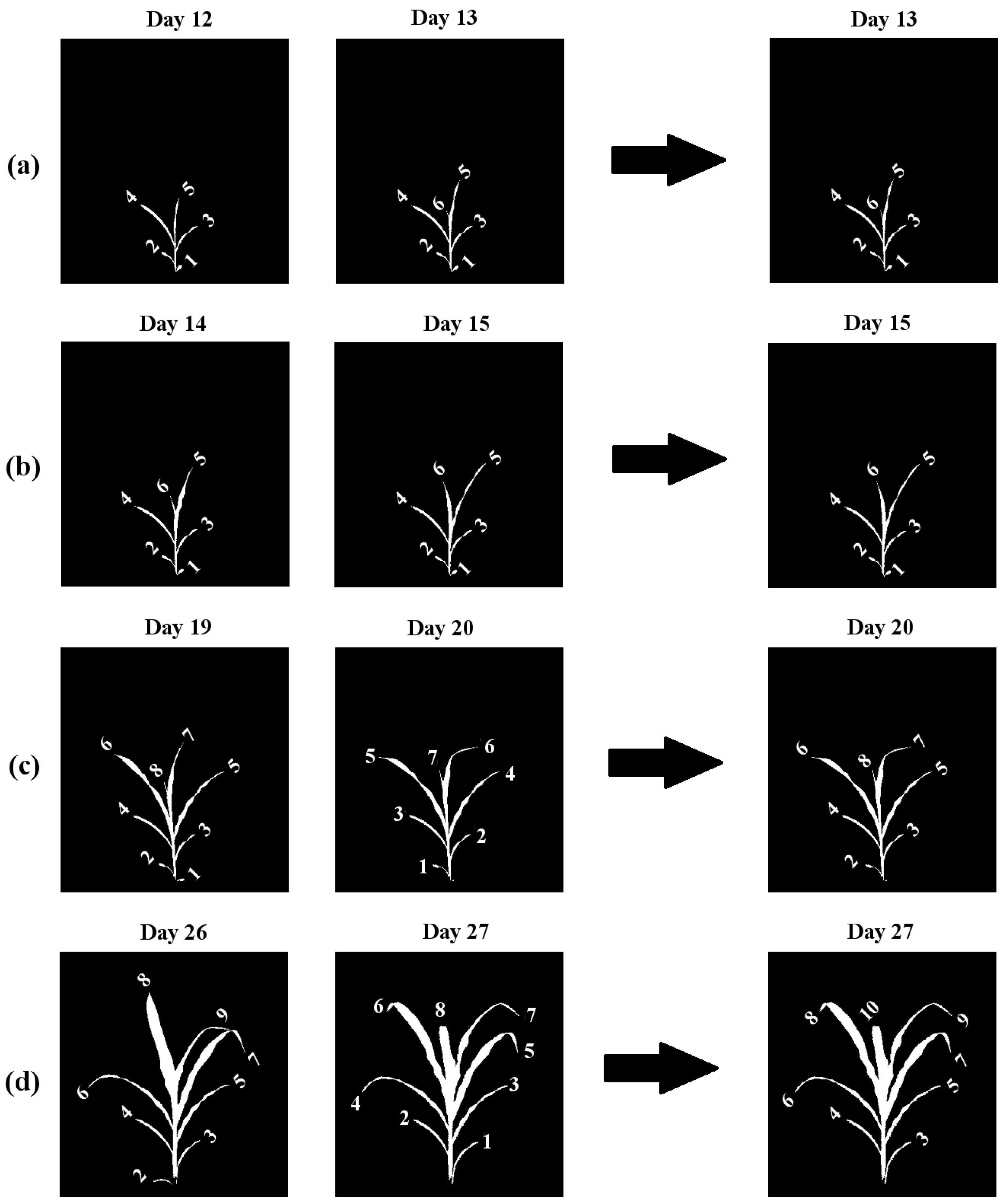 Remotesensing 13 00961 g005