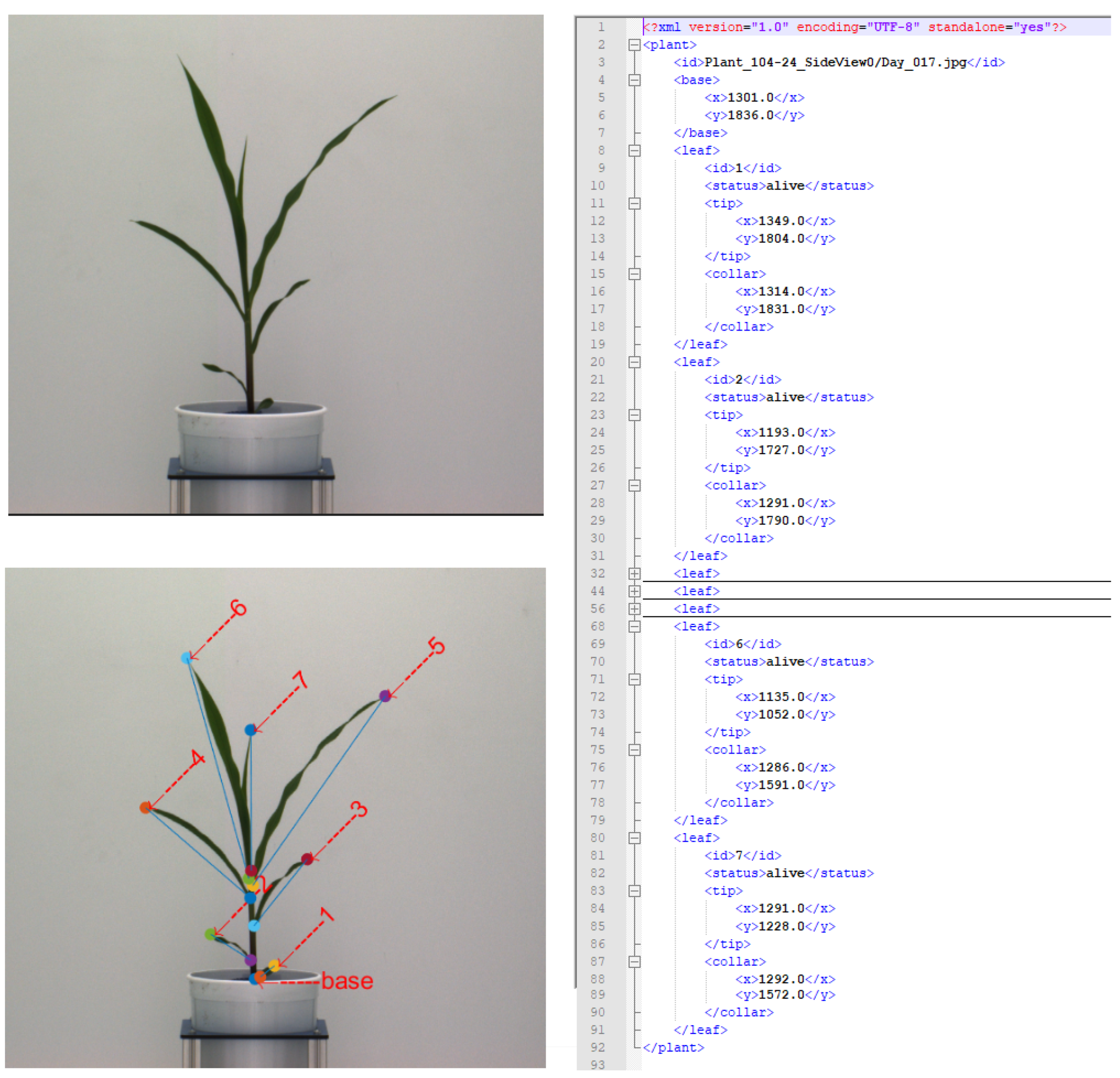 Remotesensing 13 00961 g006