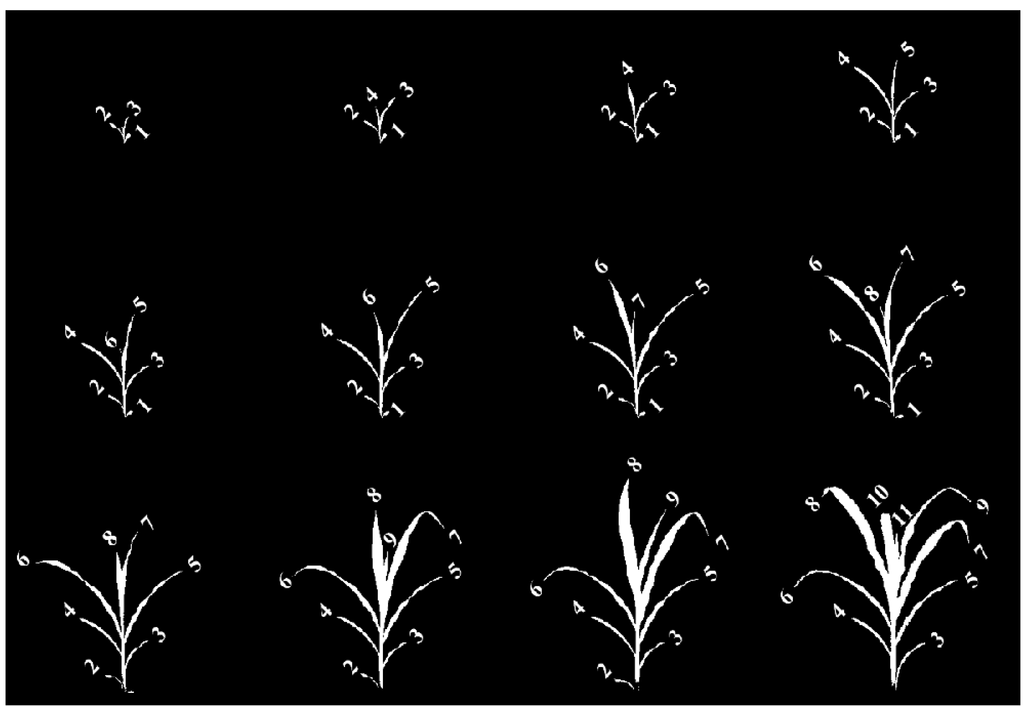 Remotesensing 13 00961 g007