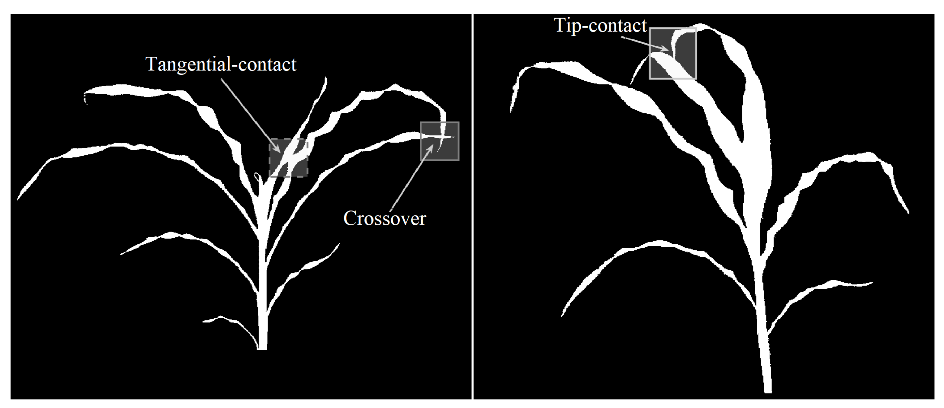 Remotesensing 13 00961 g009