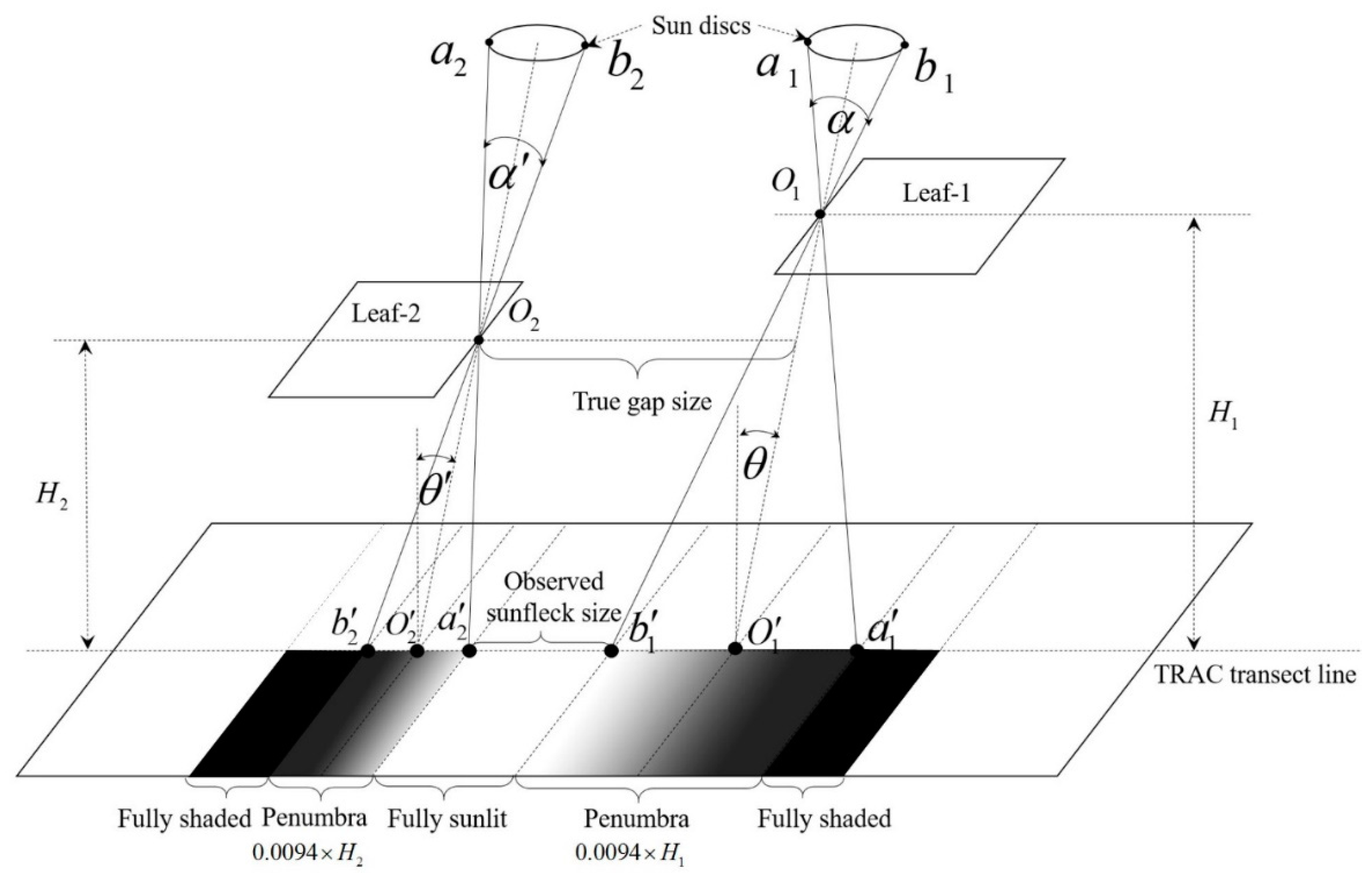 Remotesensing 13 01002 g002 Remotesensing 13 01002 g002