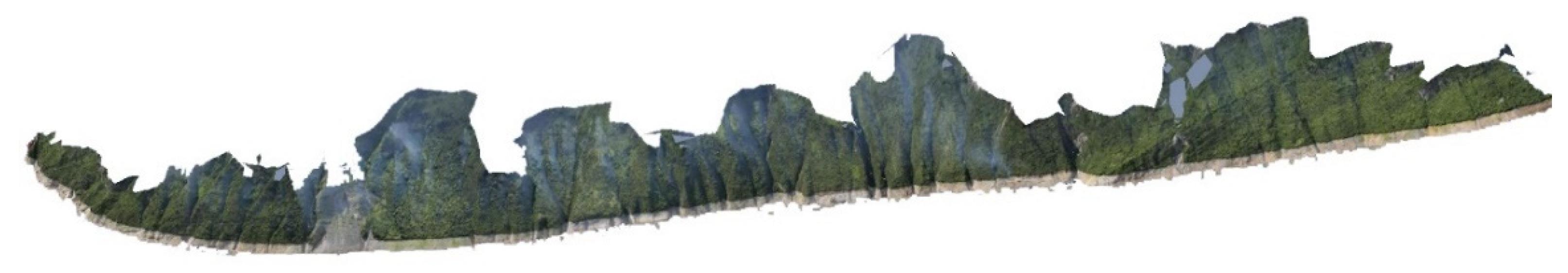 Remotesensing 13 01007 g010