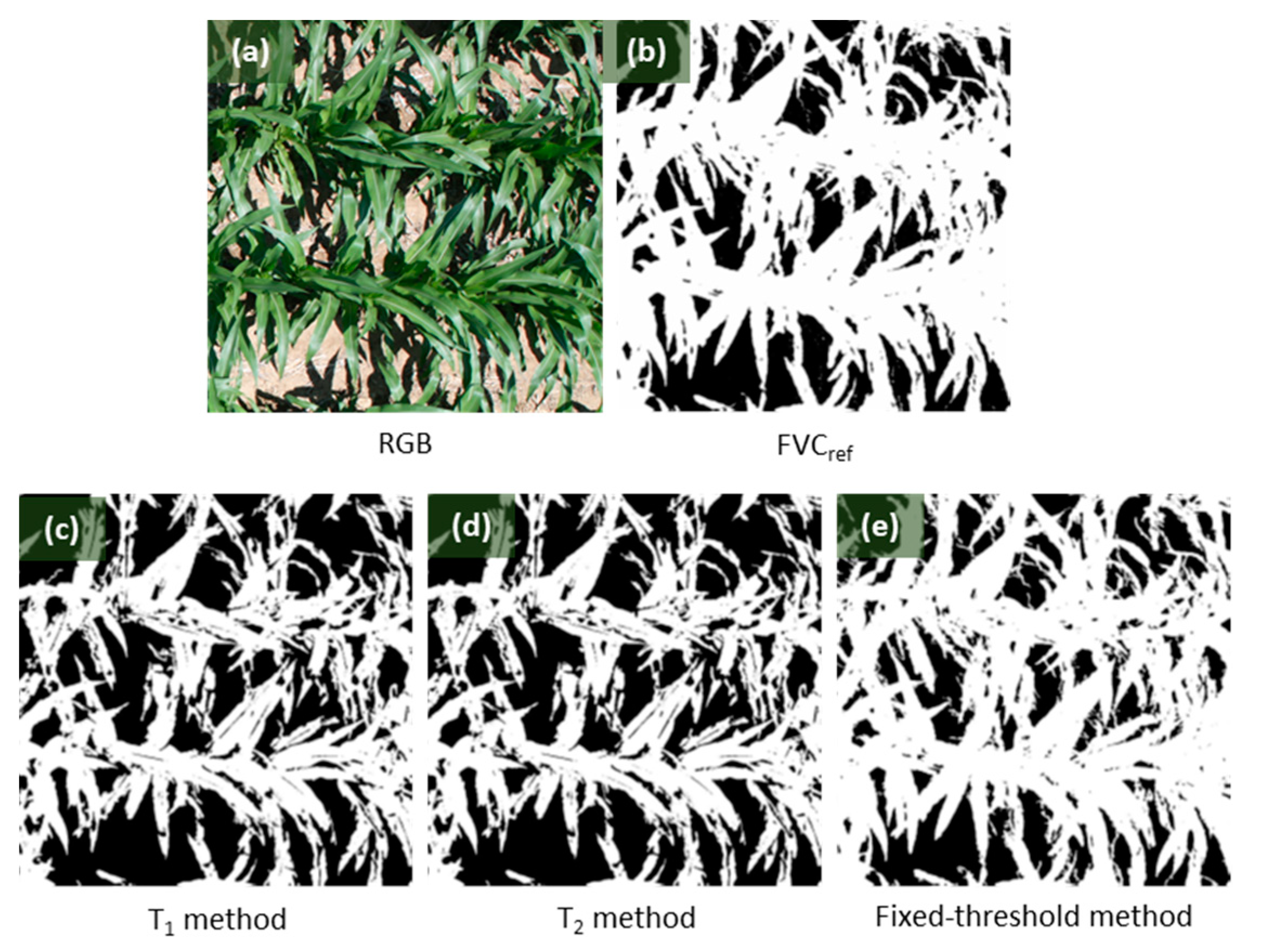 Remotesensing 13 01009 g008