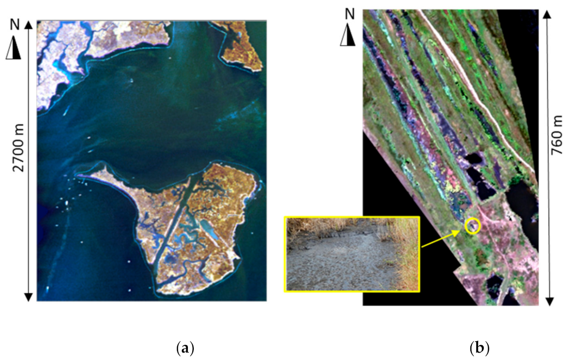 Remotesensing 13 01020 g003