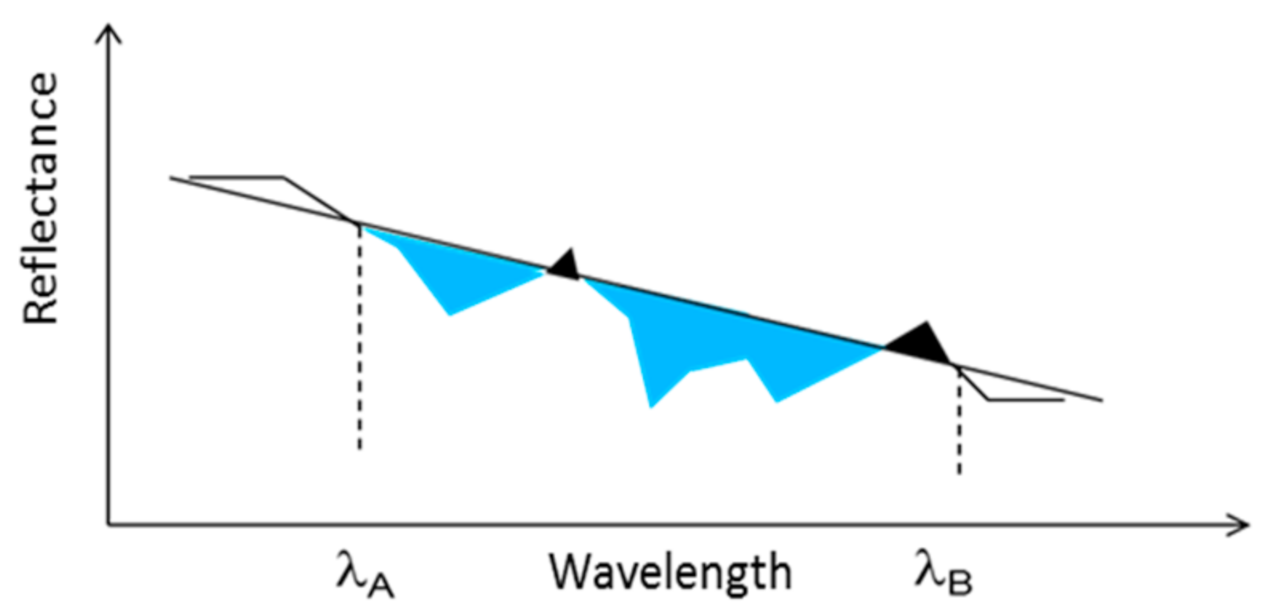 Remotesensing 13 01020 g004
