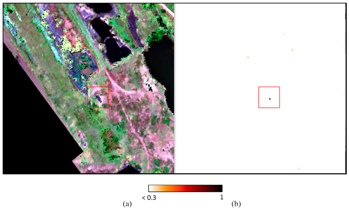 Remotesensing 13 01020 g019