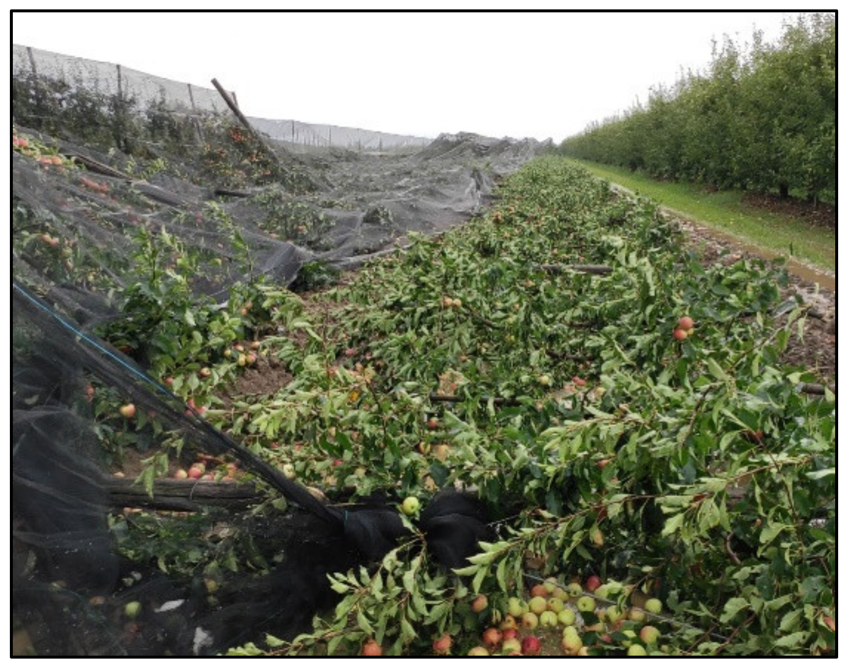 Remotesensing 13 01030 g001