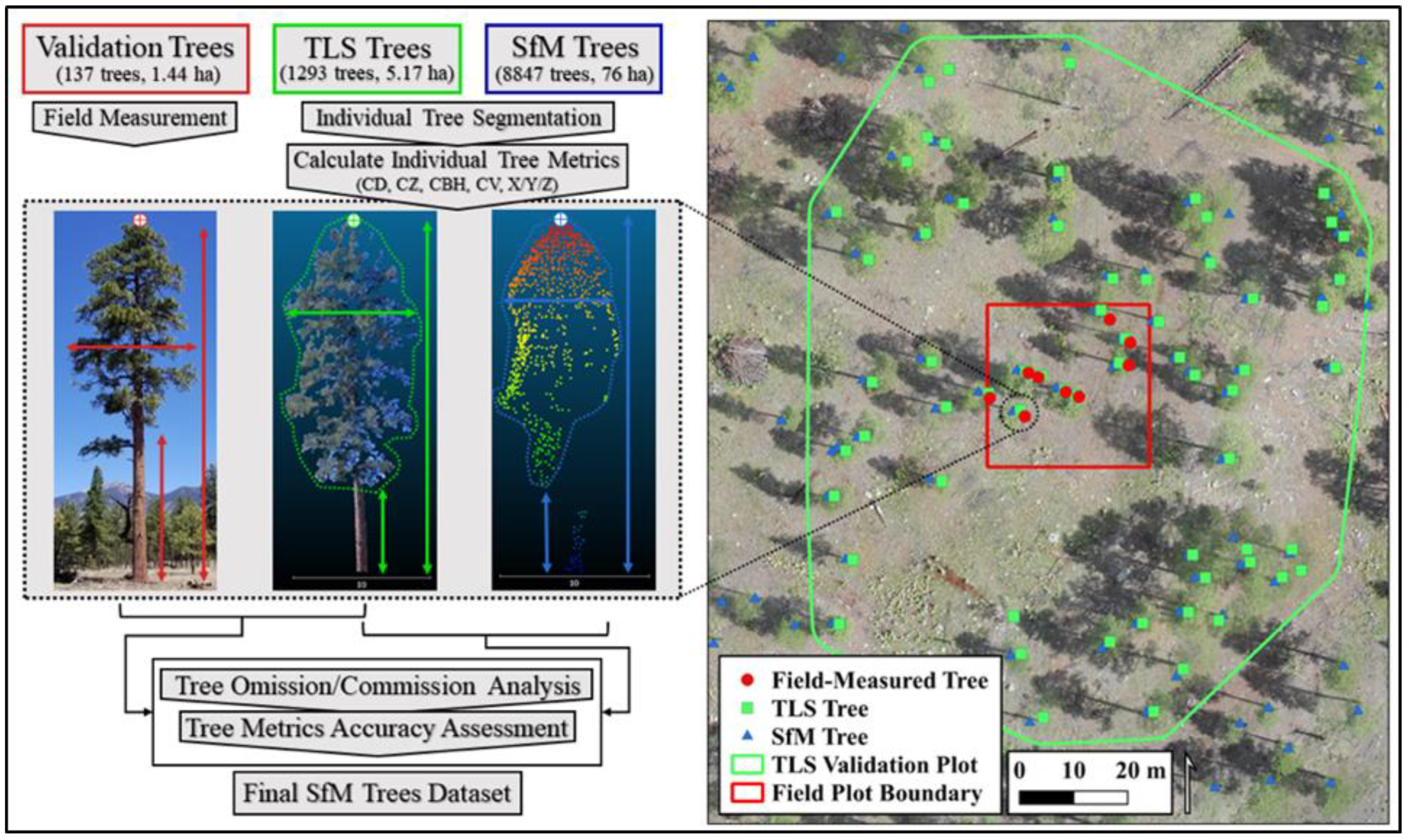 Remotesensing 13 01036 g003