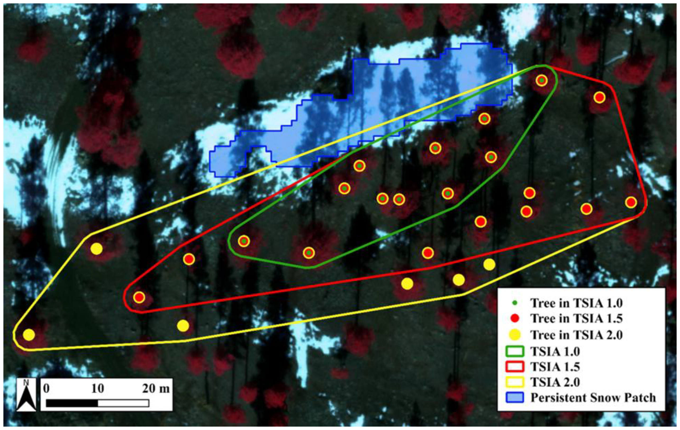 Remotesensing 13 01036 g004
