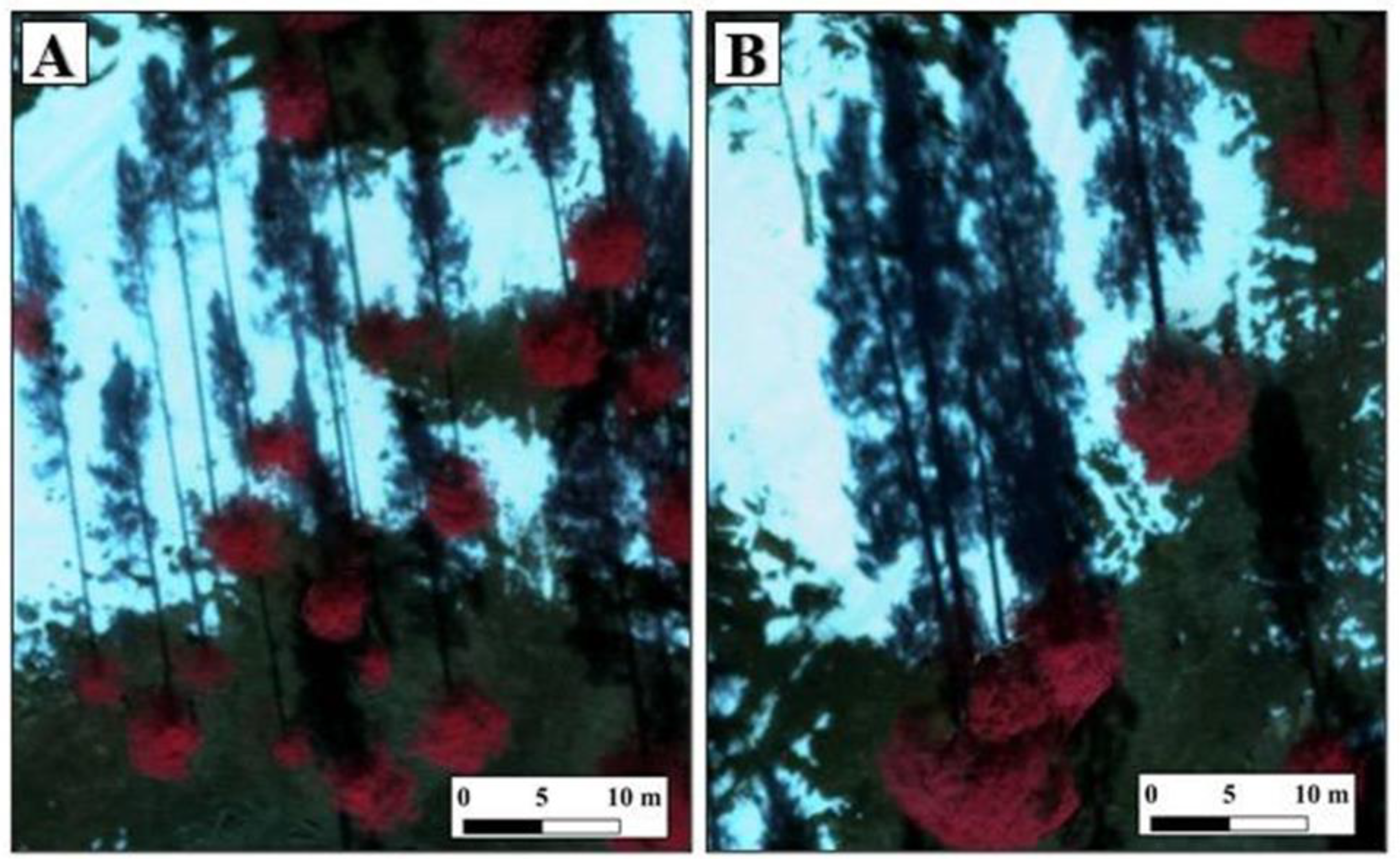 Remotesensing 13 01036 g009