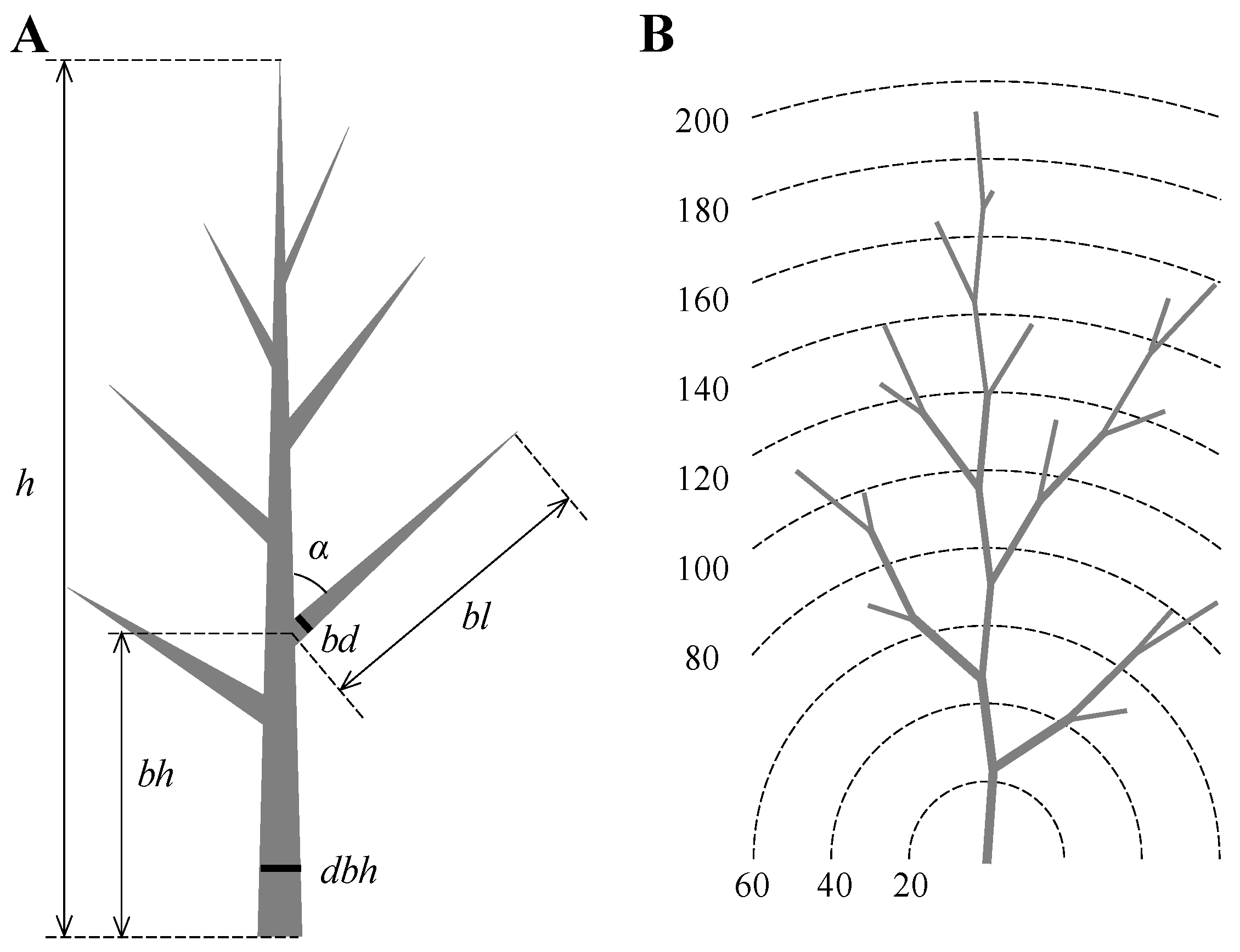 Remotesensing 13 01041 g001