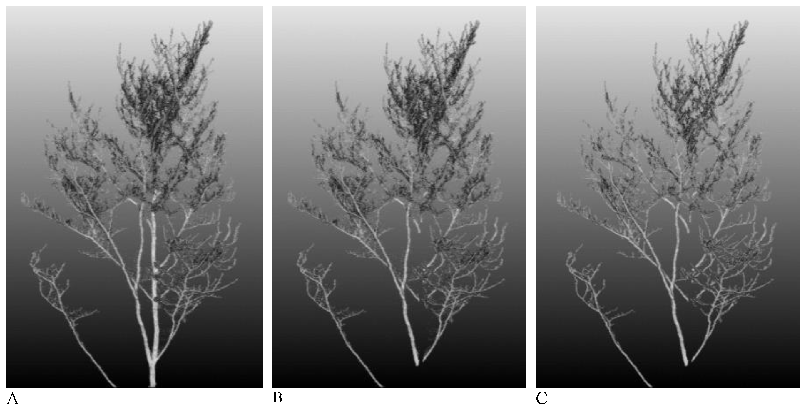 Remotesensing 13 01041 g004