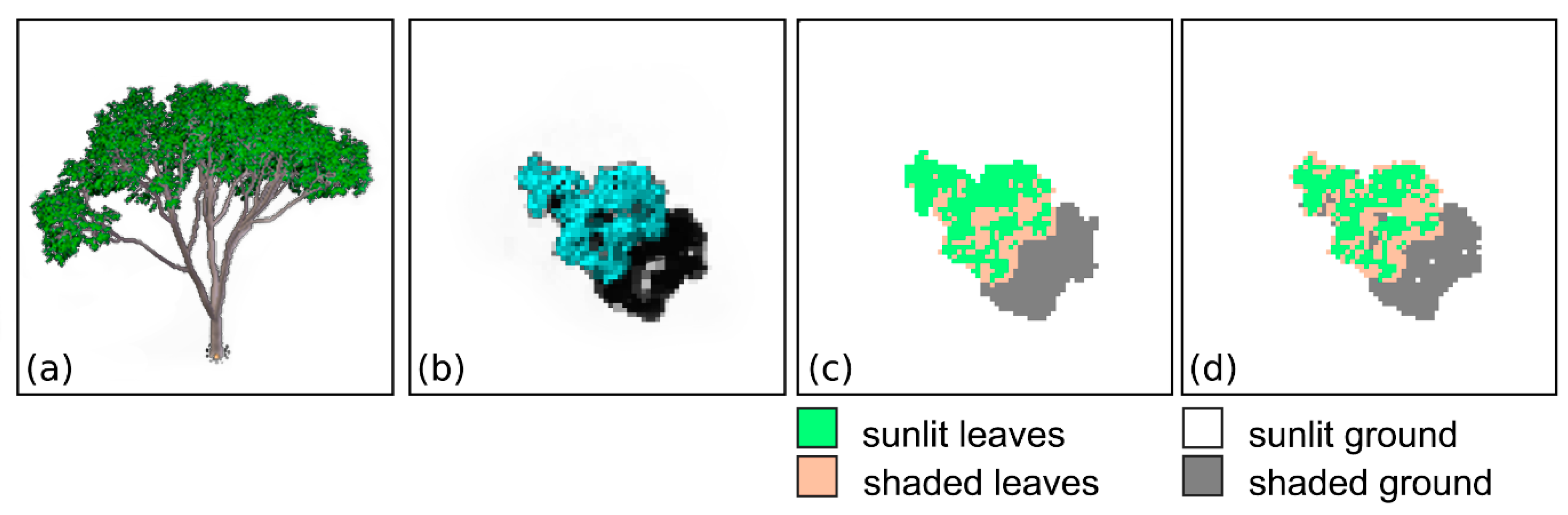 Remotesensing 13 01069 g001