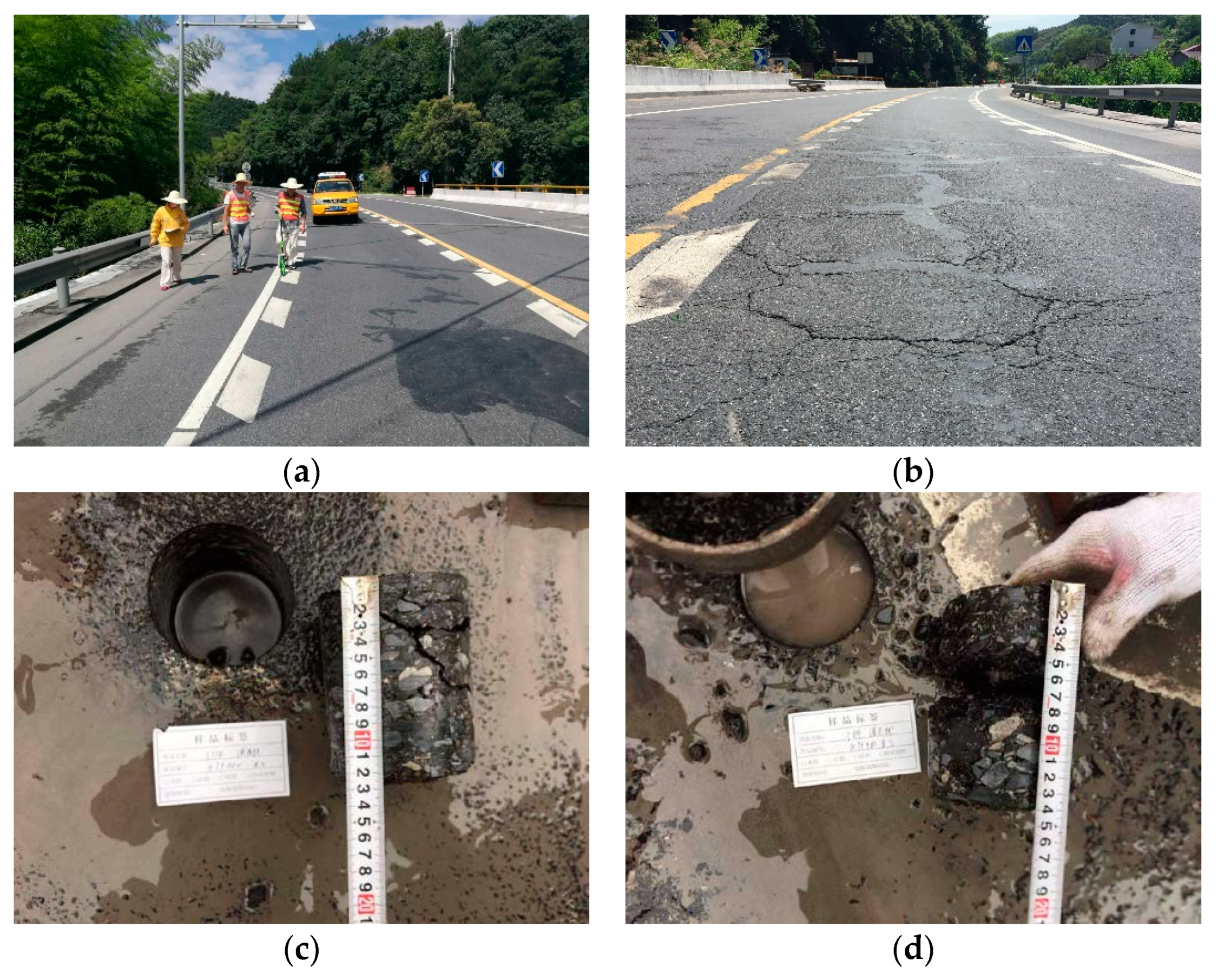 Remotesensing 13 01081 g003