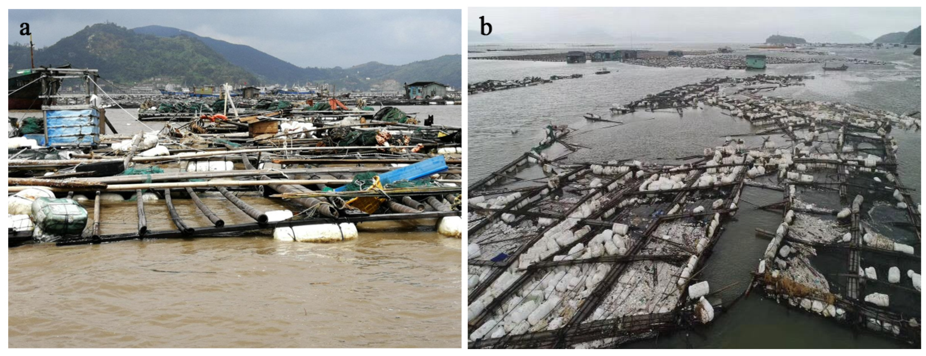 Remotesensing 13 01083 g010