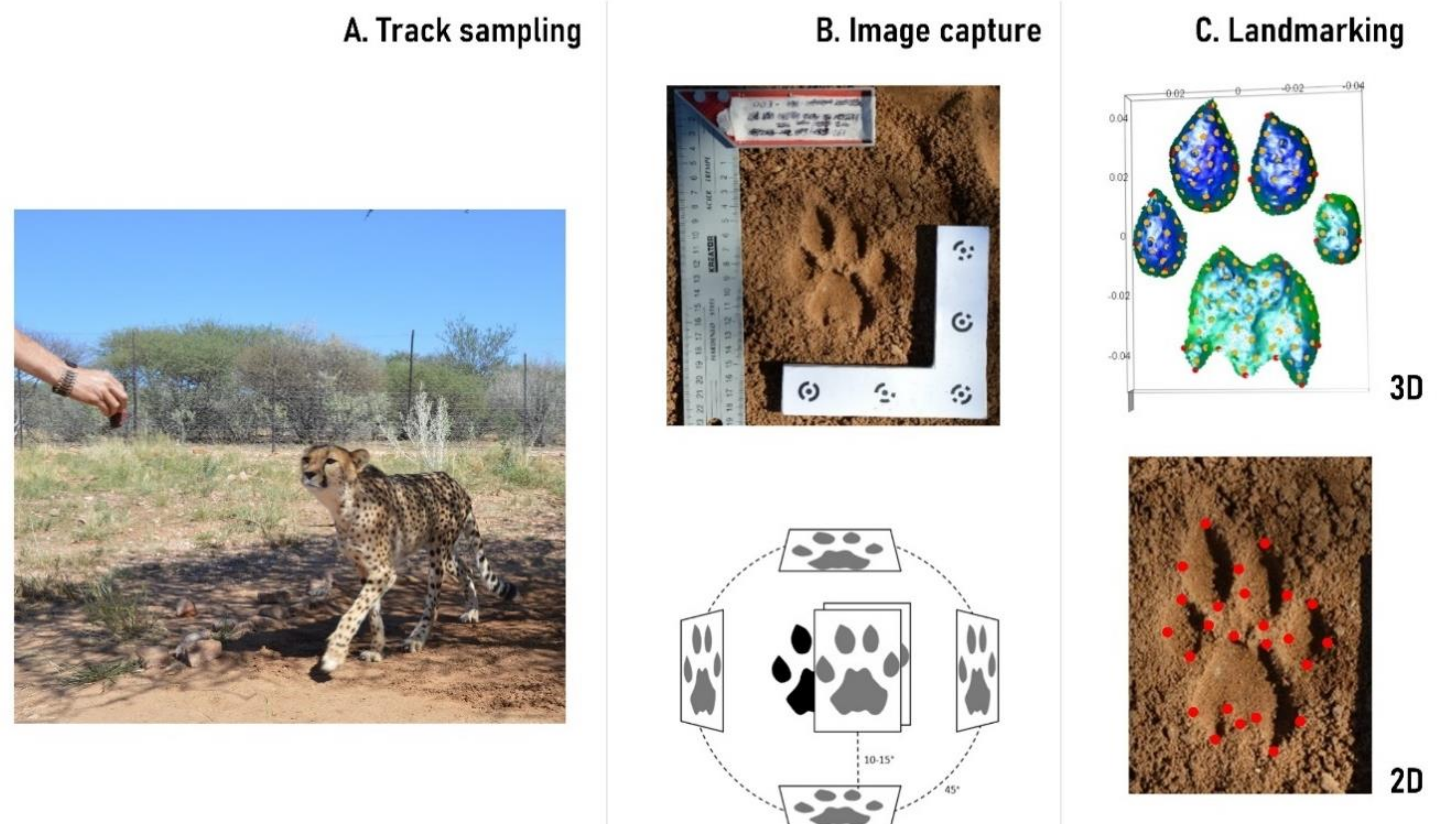 Remotesensing 13 01090 g001 Remotesensing 13 01090 g001