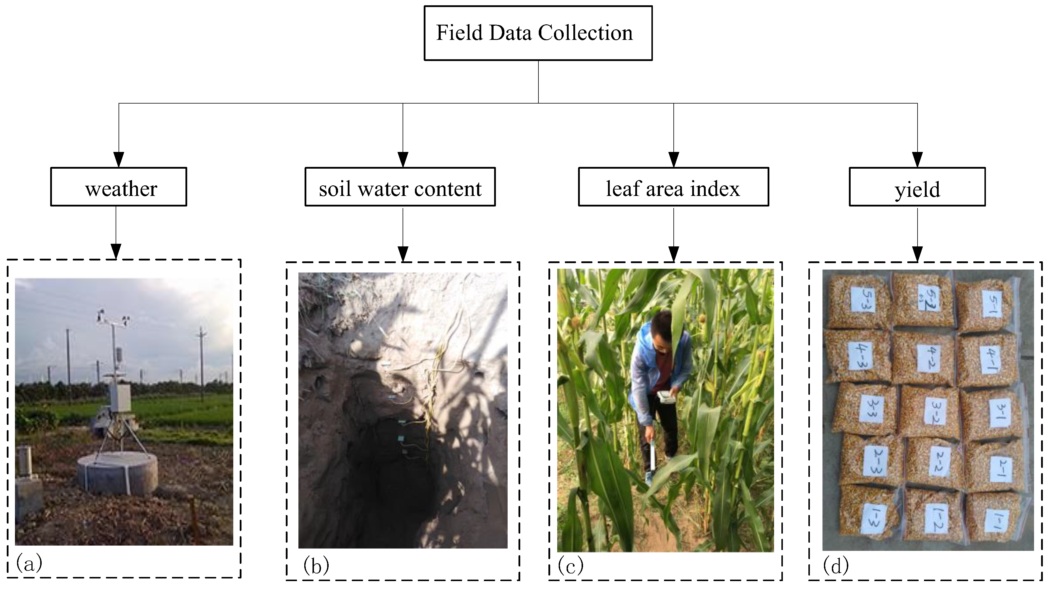 Remotesensing 13 01094 g002 Remotesensing 13 01094 g002