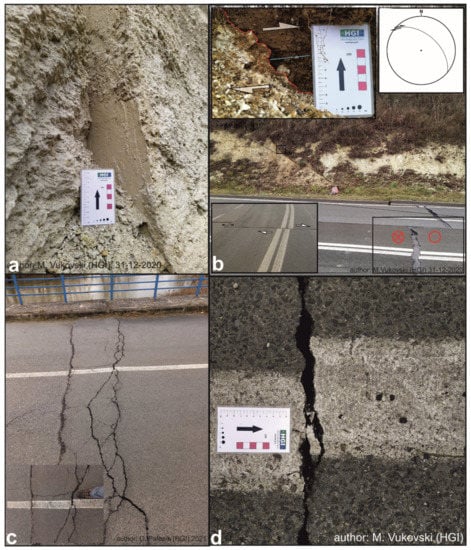 Remotesensing 13 01095 g006