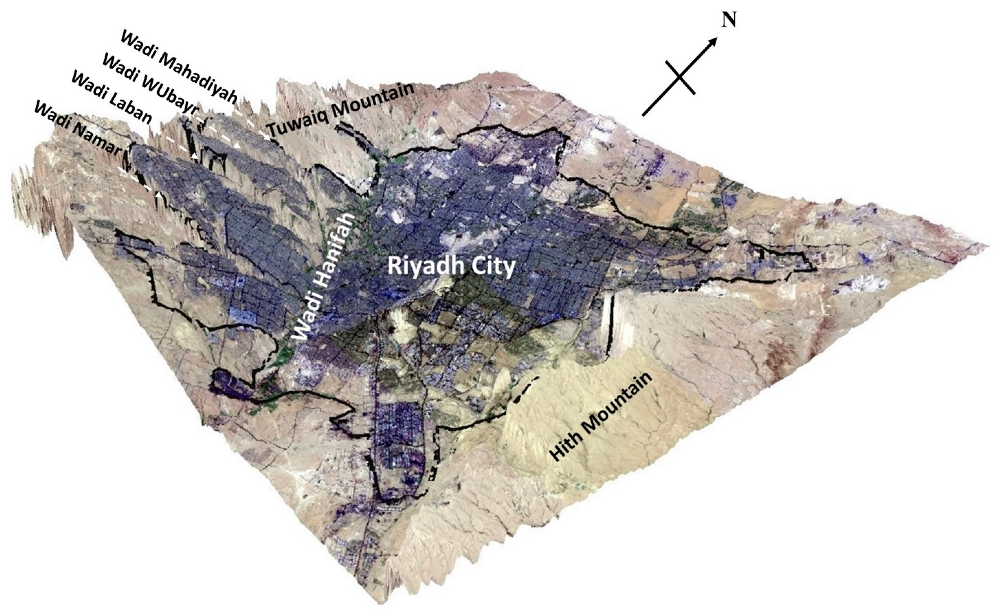 Remotesensing 13 01109 g002