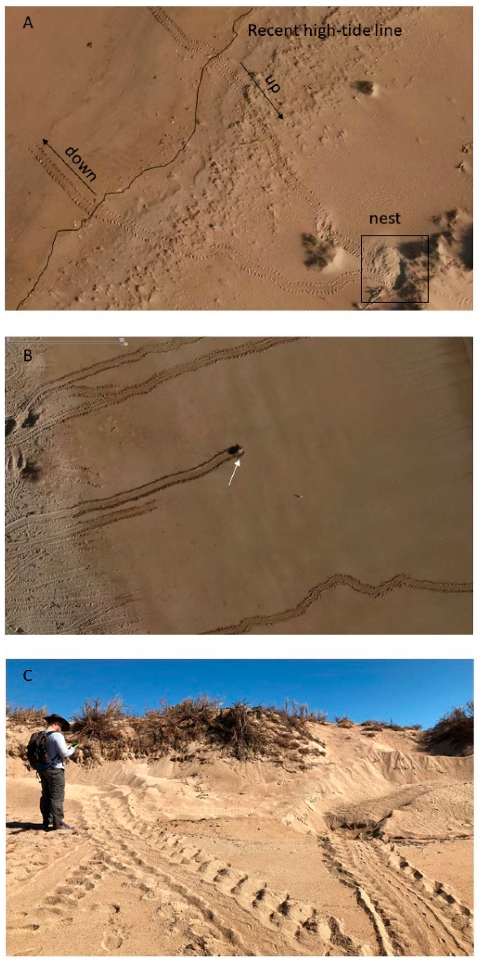 Remotesensing 13 01116 g002