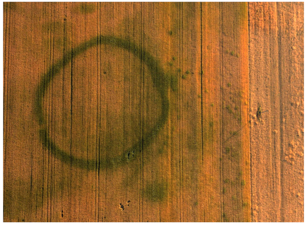 Remotesensing 13 01126 g001