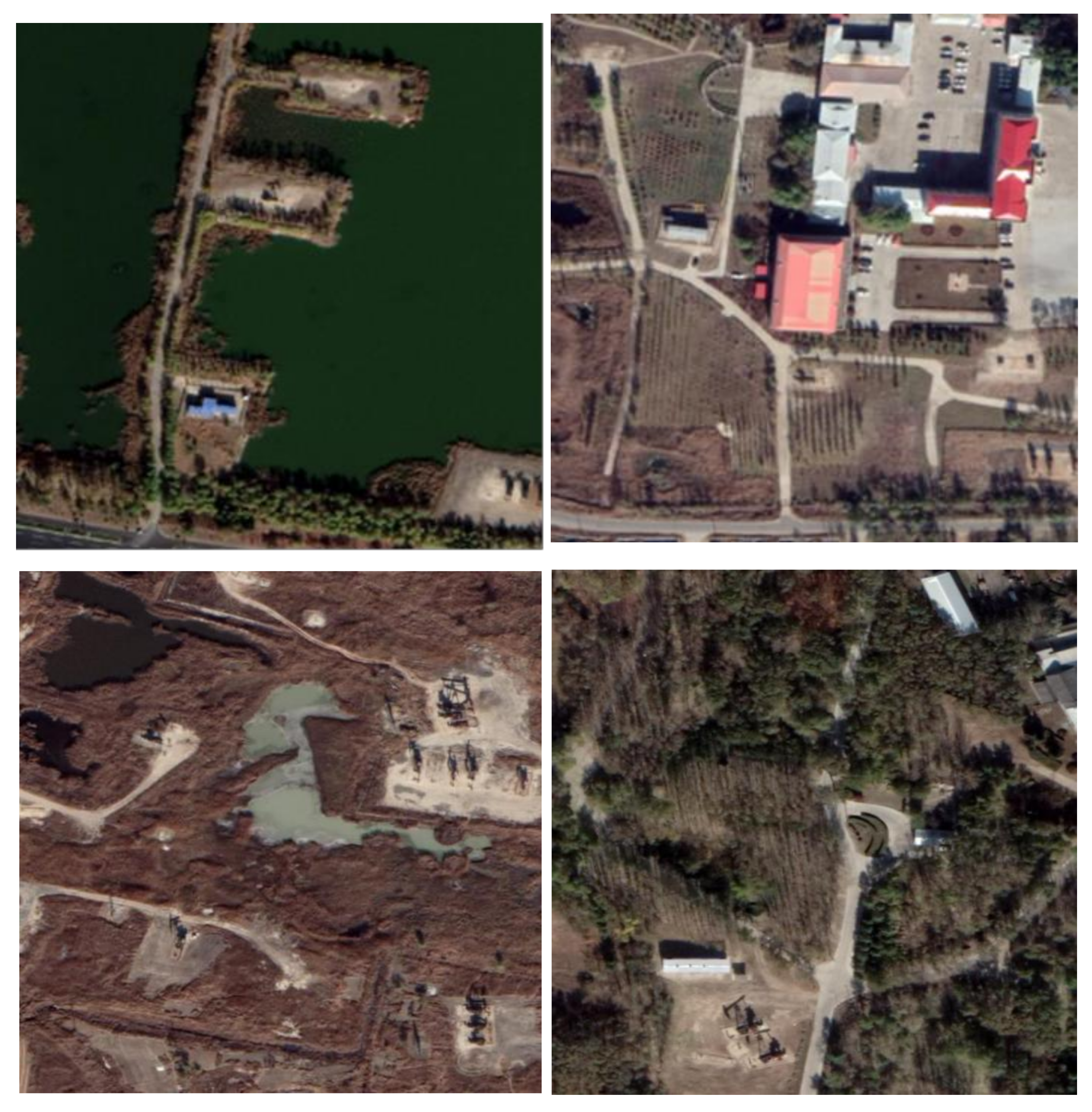 Remotesensing 13 01132 g006