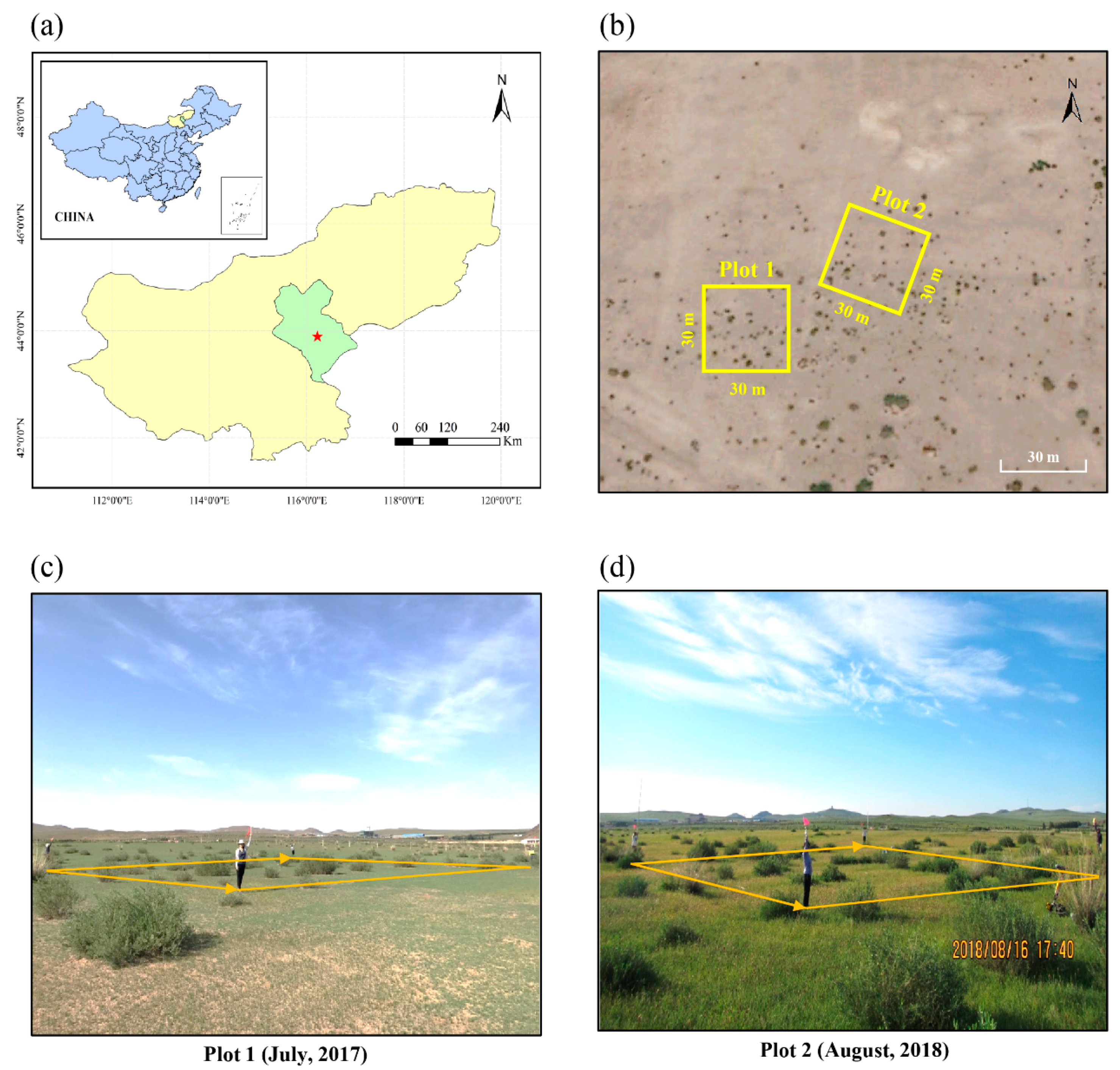 Remotesensing 13 01137 g001