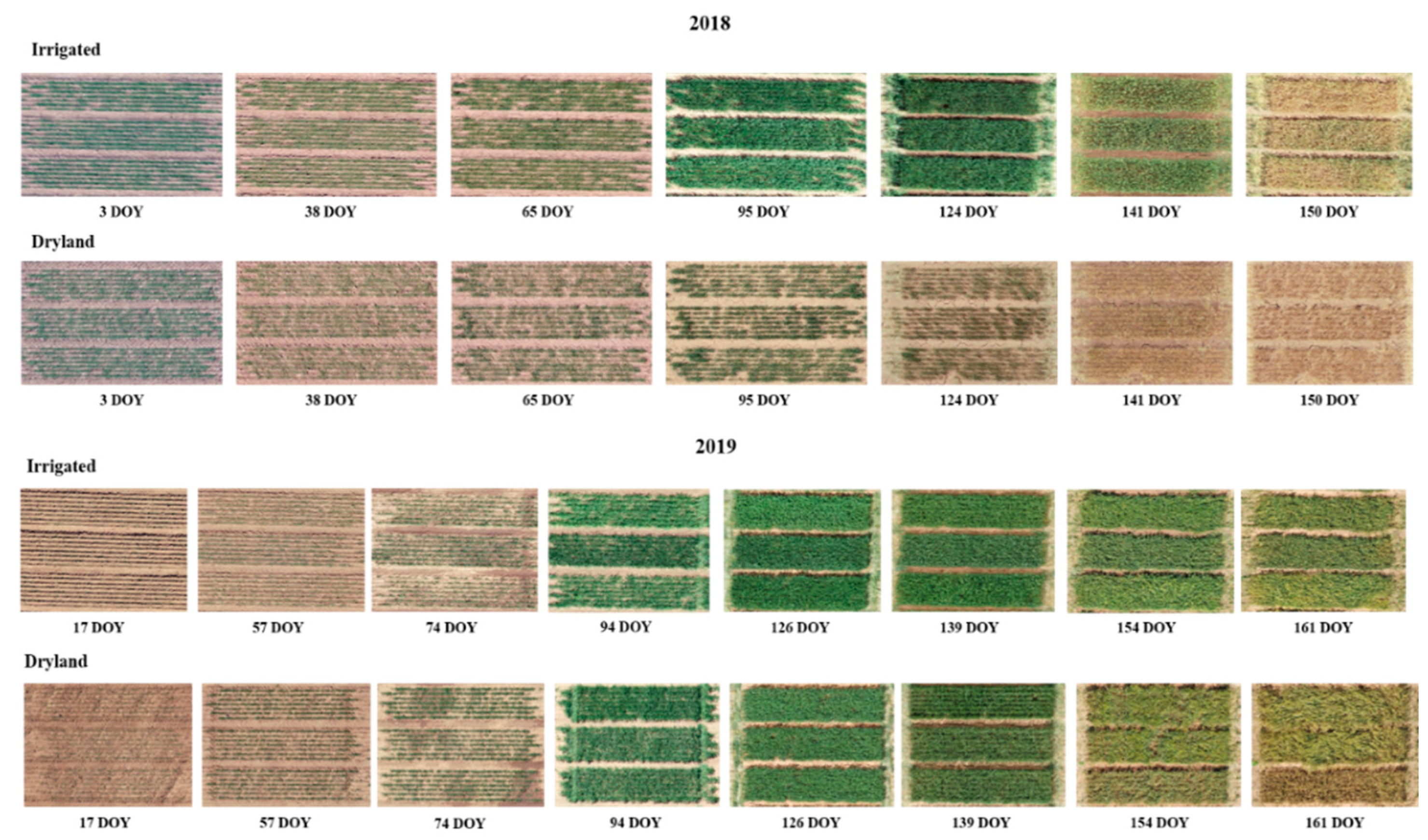 Remotesensing 13 01144 g004