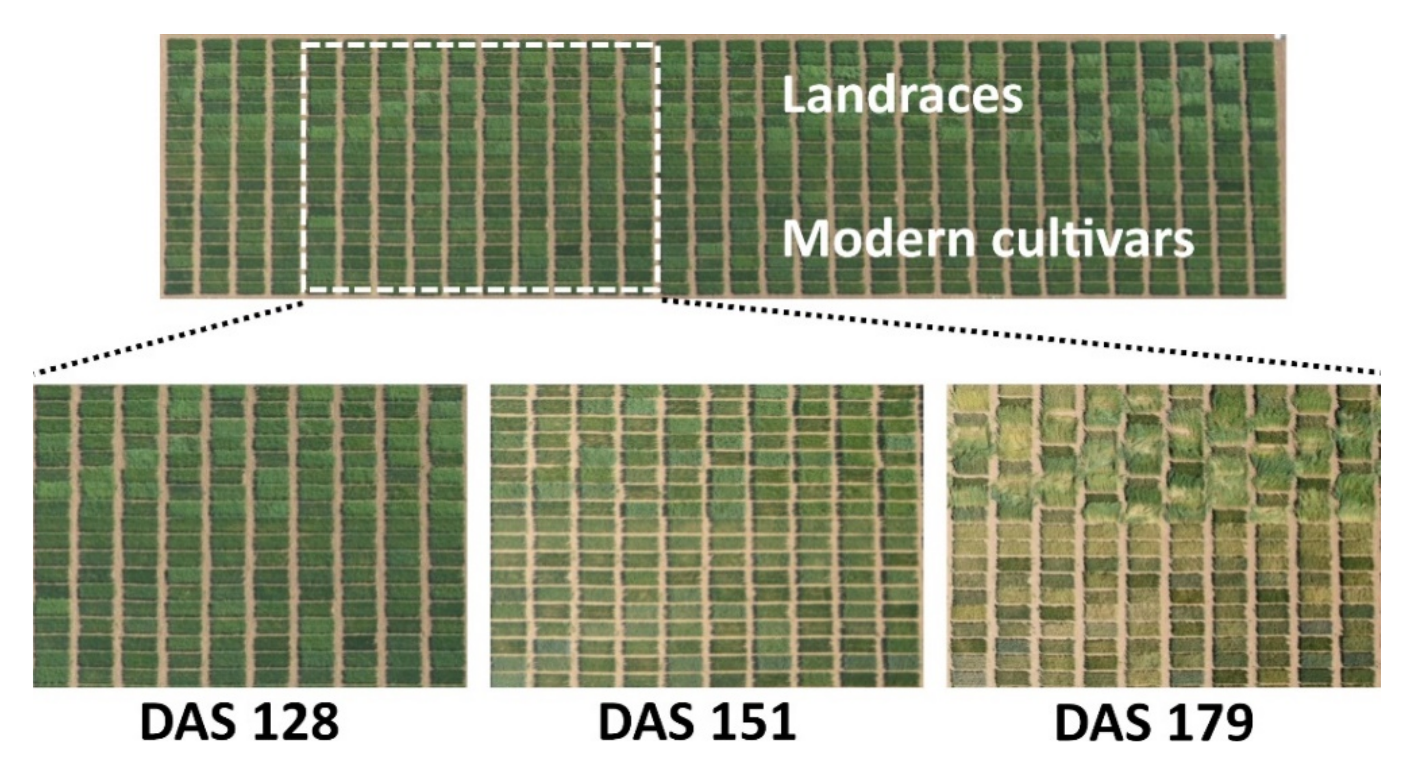 Remotesensing 13 01187 g001