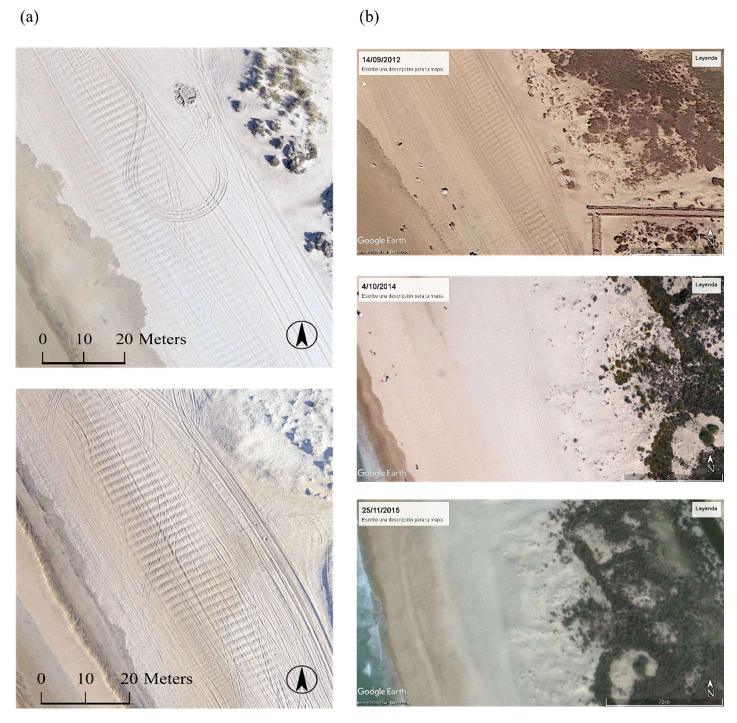 Remotesensing 13 01188 g002