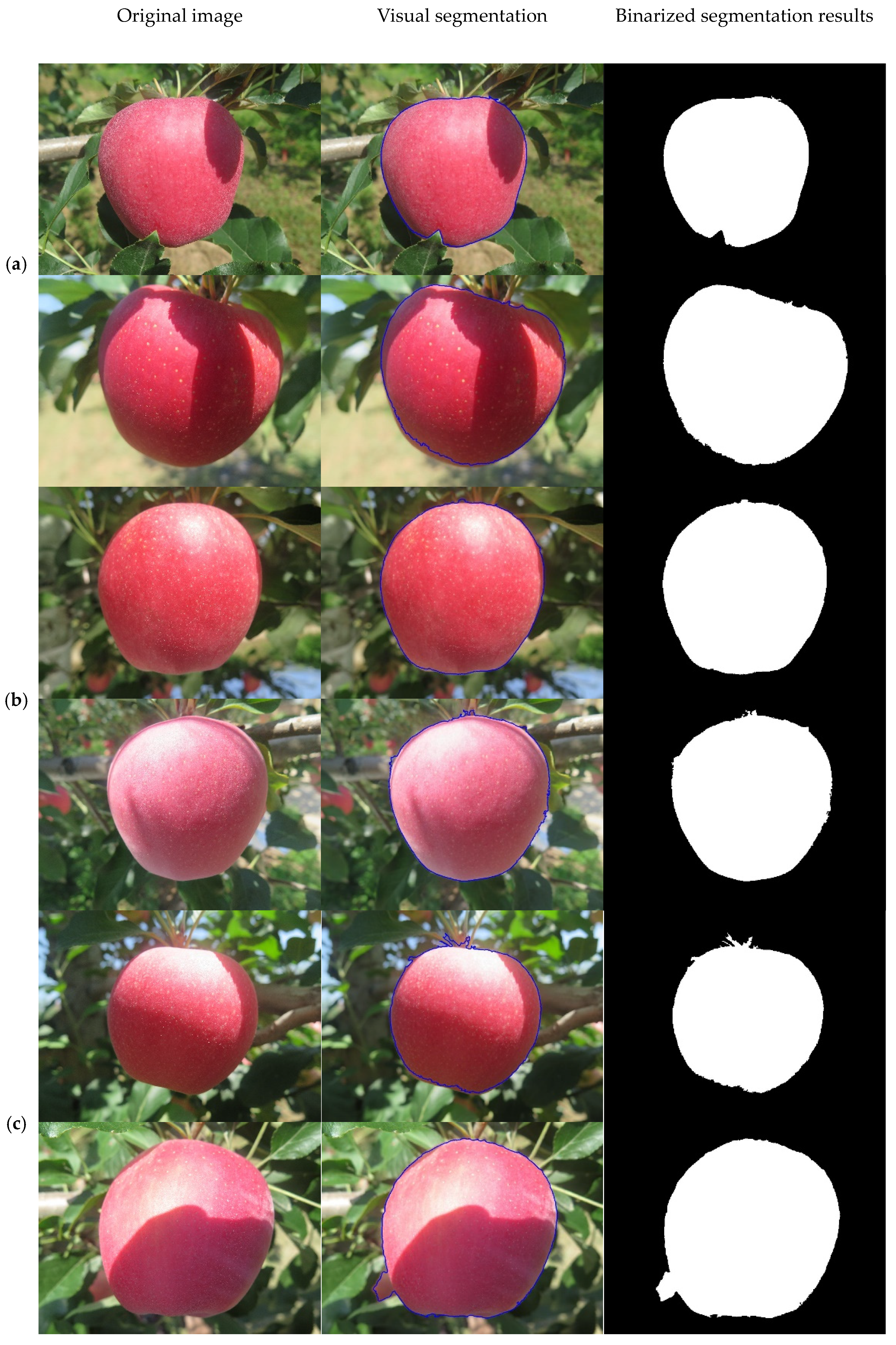 Remotesensing 13 01211 g005