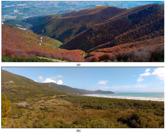 Remotesensing 13 01231 g0a1a