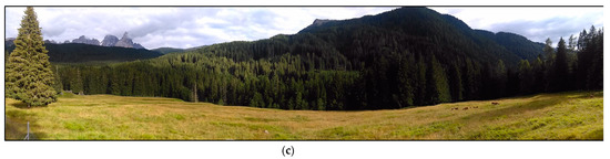 Remotesensing 13 01231 g0a1b