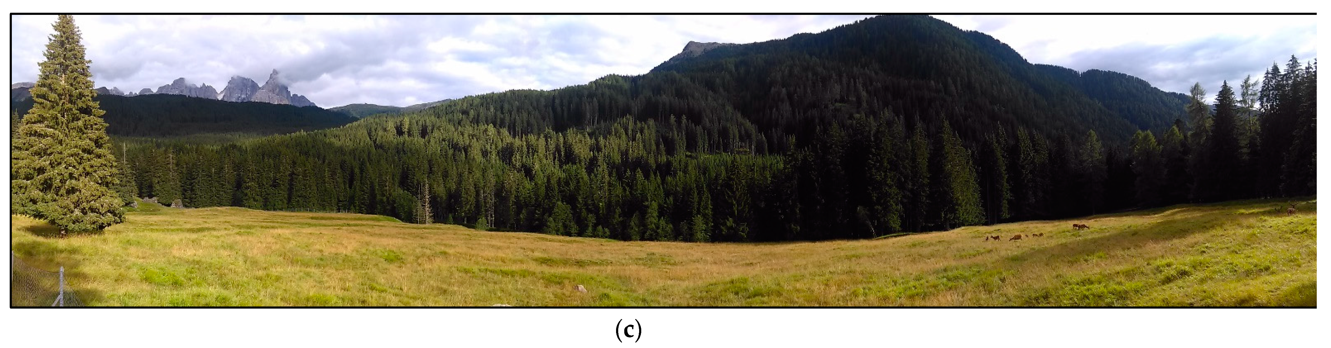 Remotesensing 13 01231 g0a1b