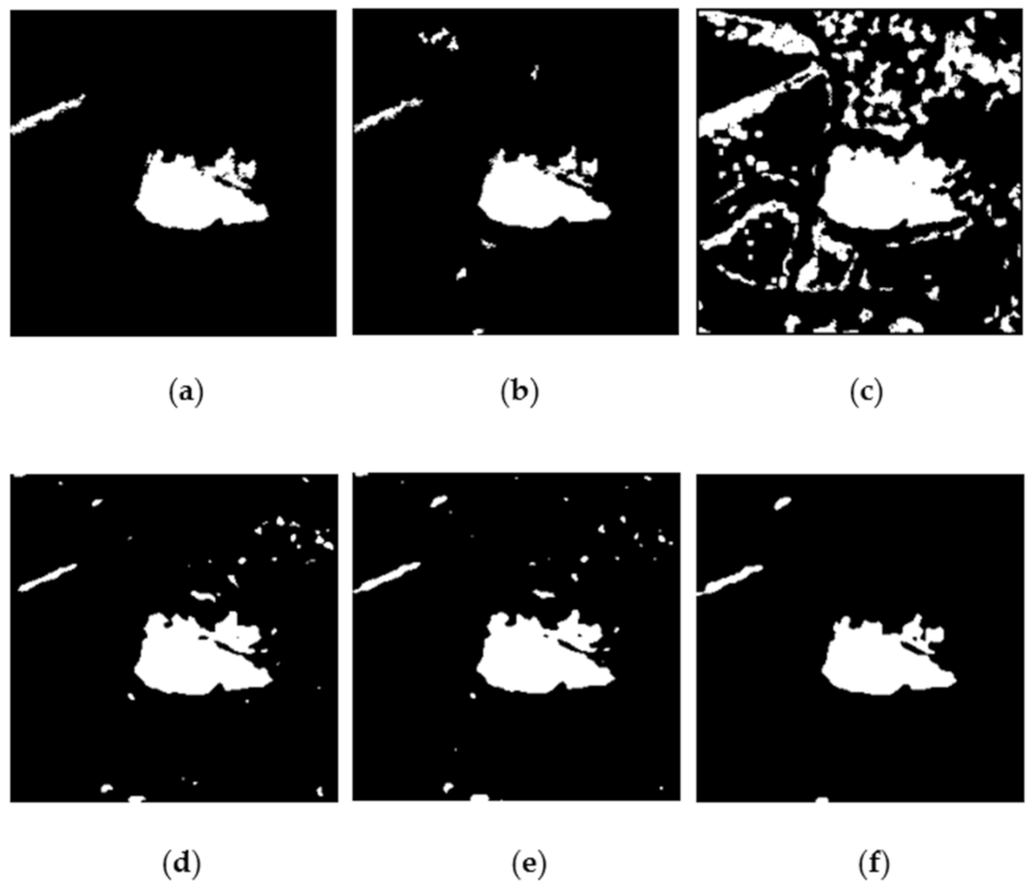 Remotesensing 13 01236 g017