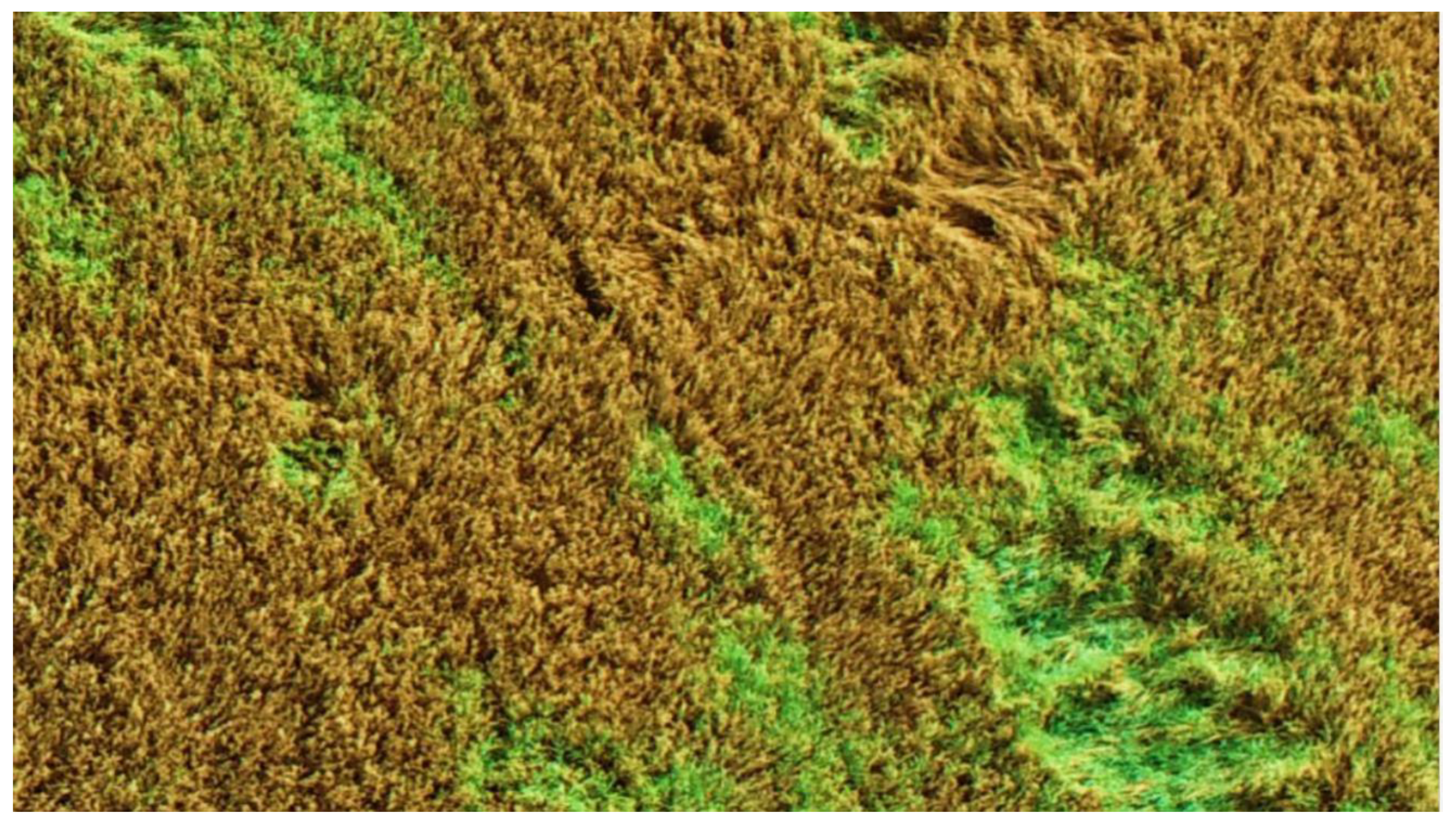 Remotesensing 13 01238 g006