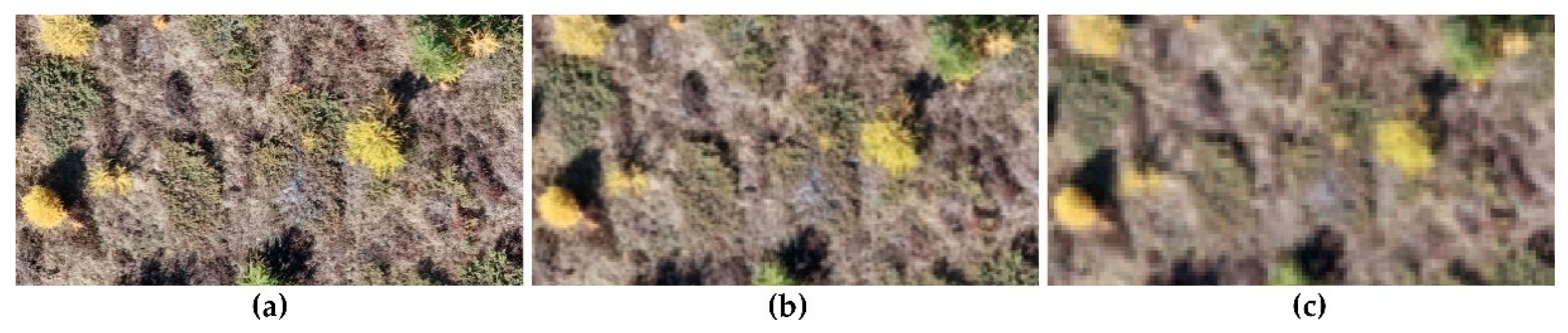 Remotesensing 13 01239 g004 Remotesensing 13 01239 g004