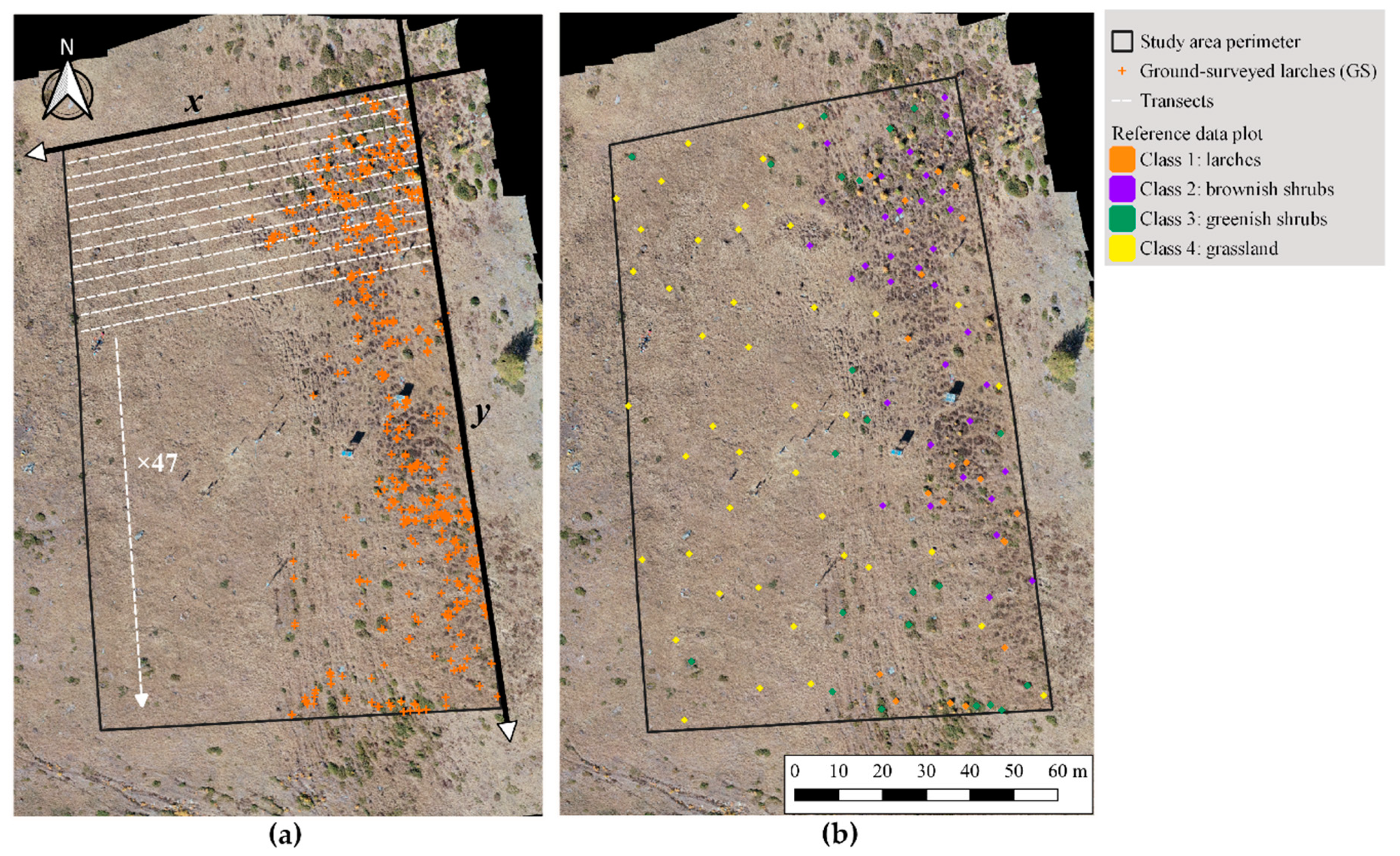 Remotesensing 13 01239 g005 Remotesensing 13 01239 g005