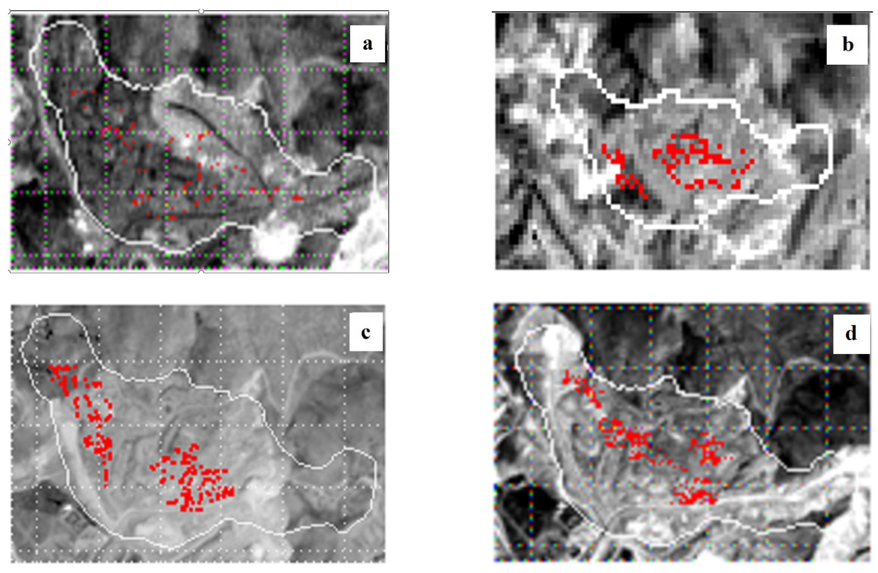 Remotesensing 13 01277 g010