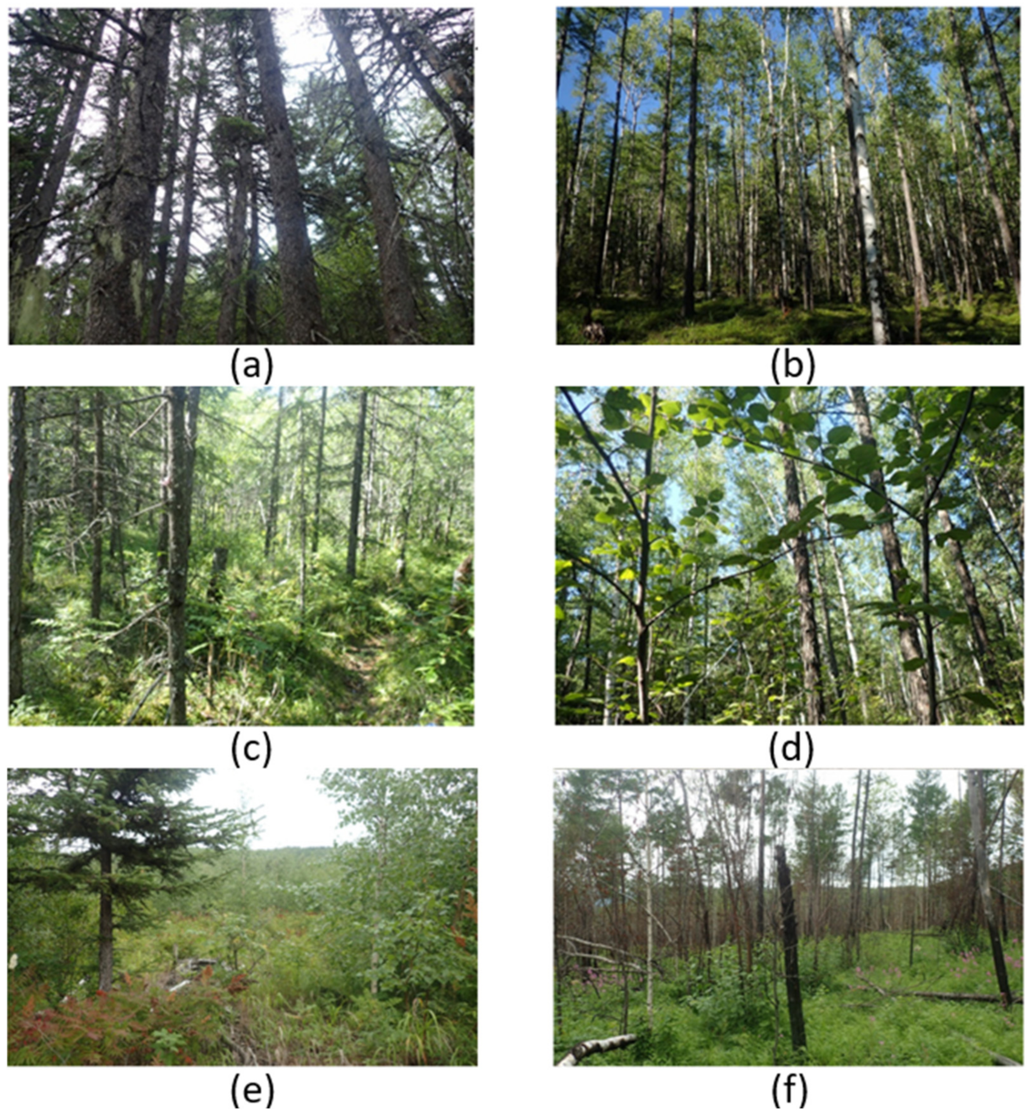 Remotesensing 13 01285 g002