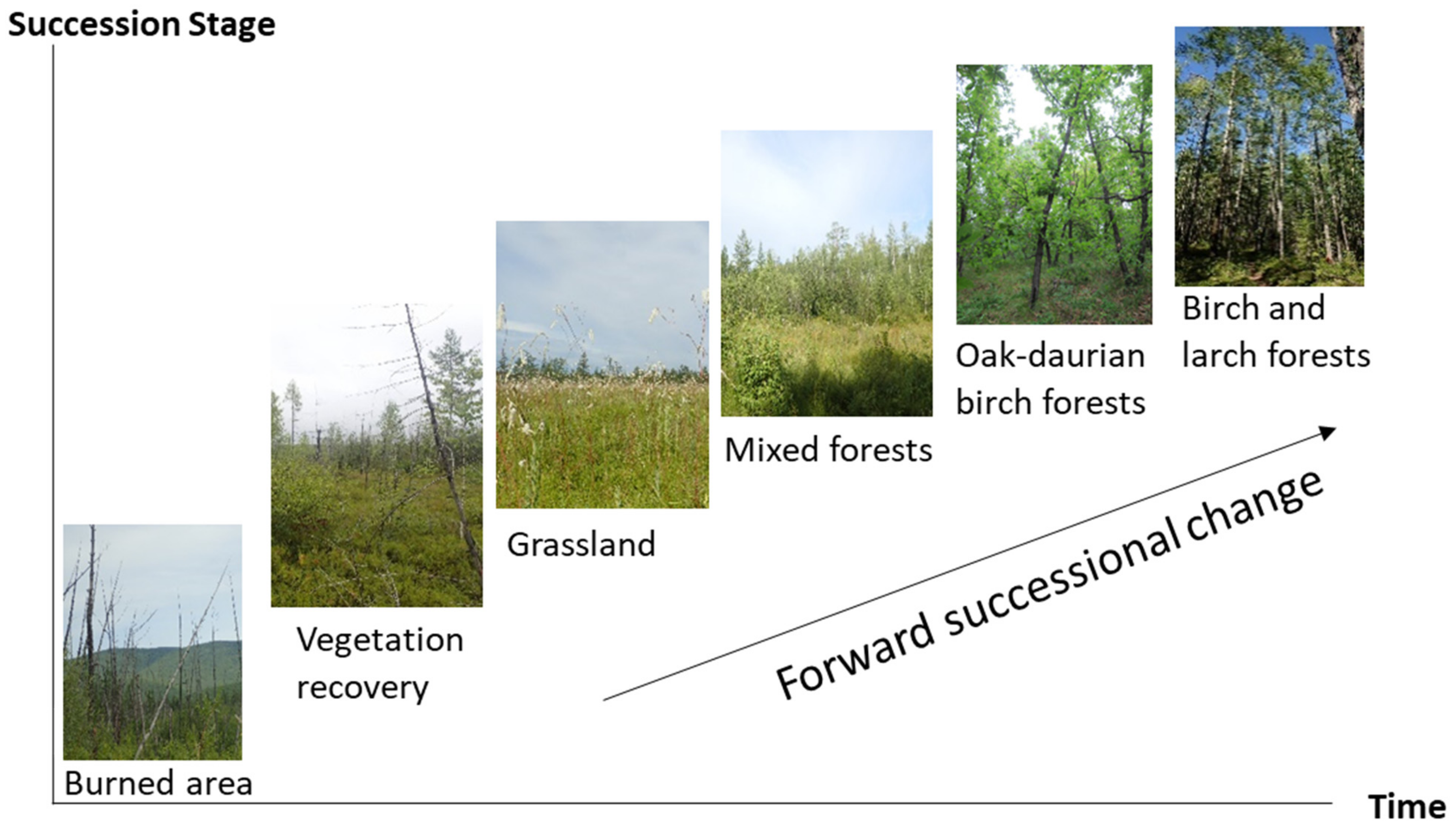 Remotesensing 13 01285 g011