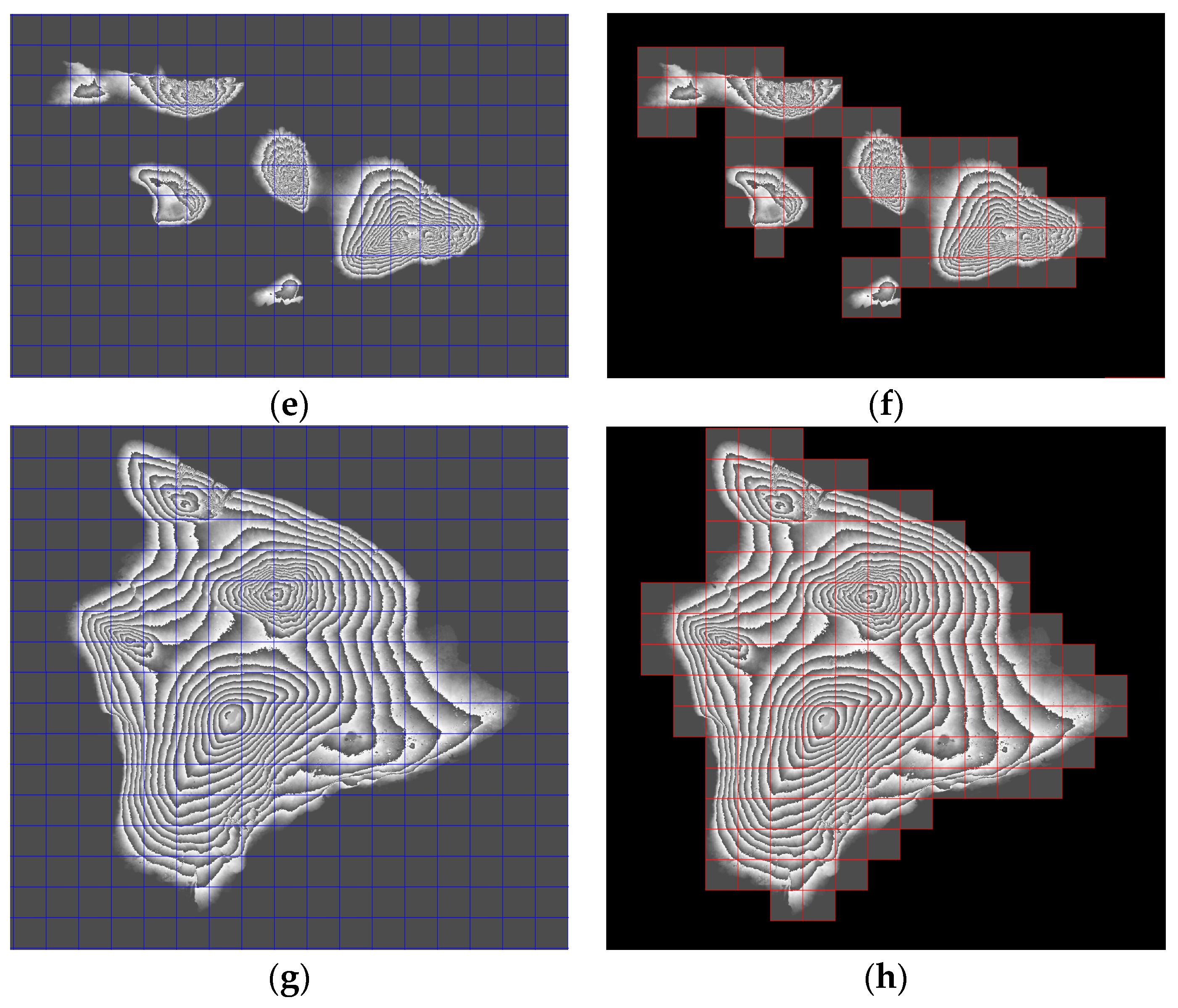 Remotesensing 13 01314 g014b