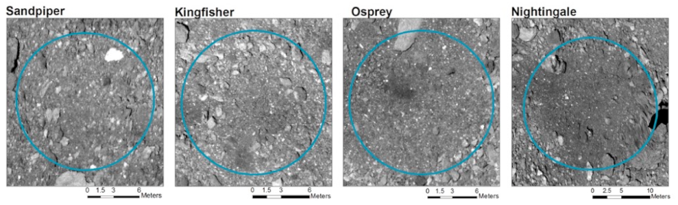 Remotesensing 13 01315 g011
