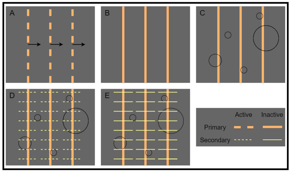 Remotesensing 13 01329 g001 Remotesensing 13 01329 g001